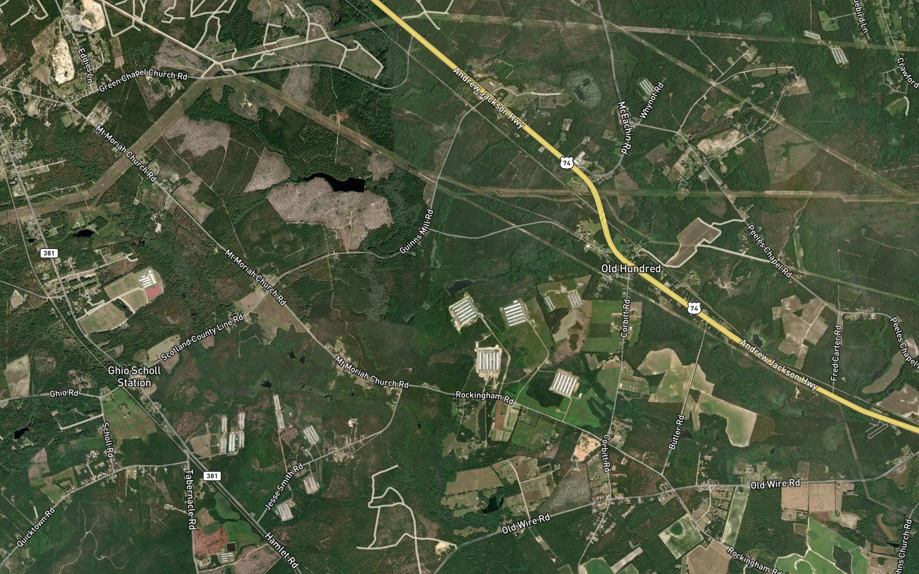 Satellite map of the McNeill Pond