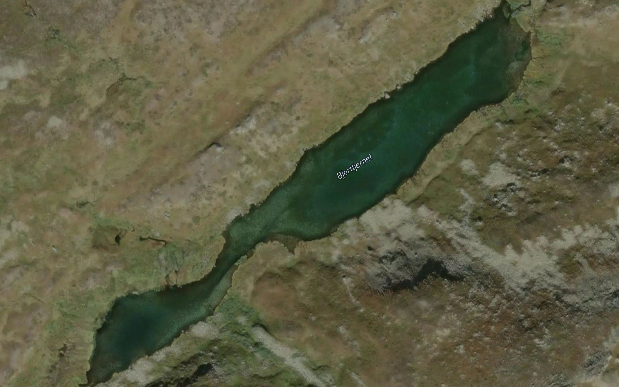 Bjerttjernet
