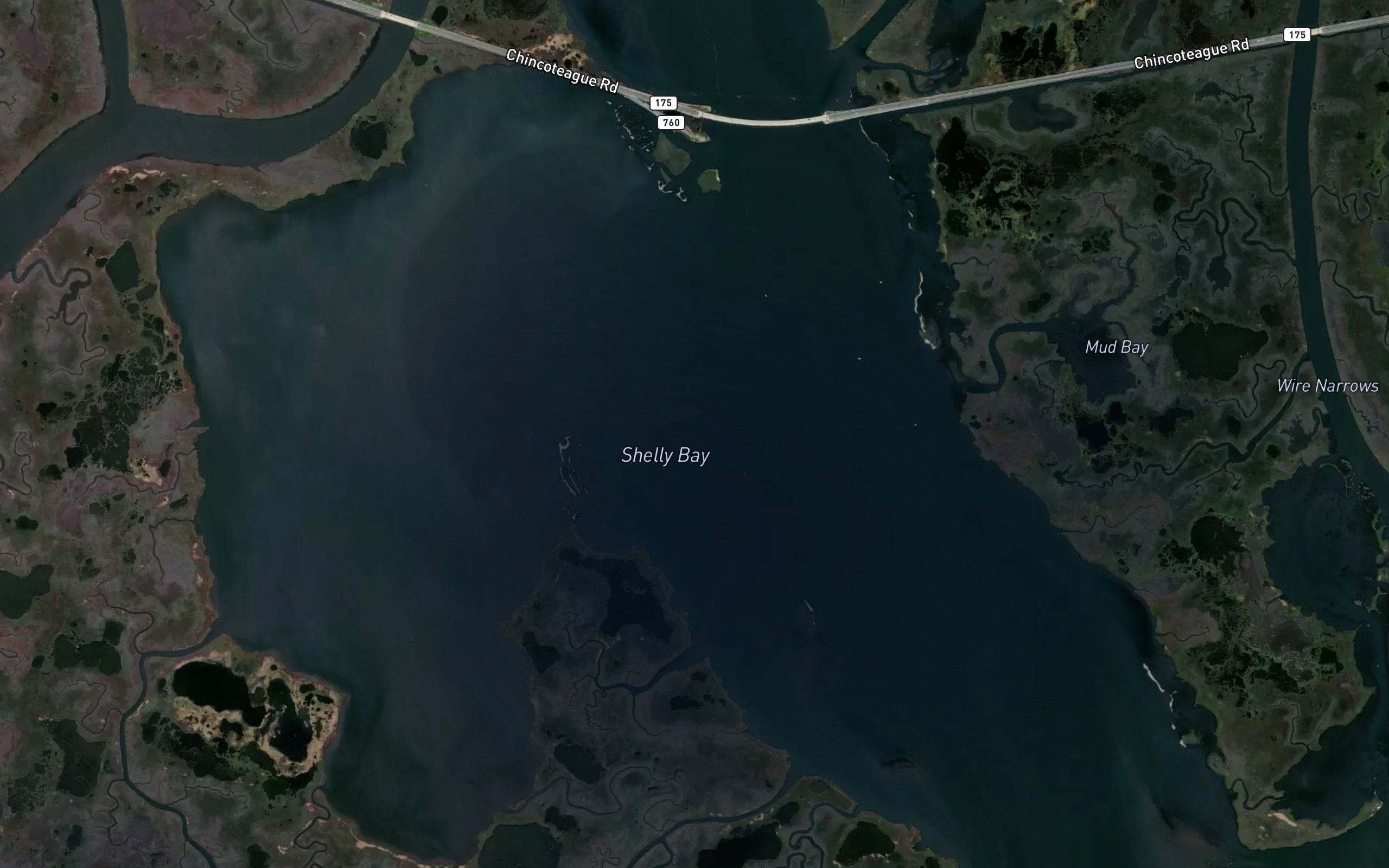 Shelly Bay