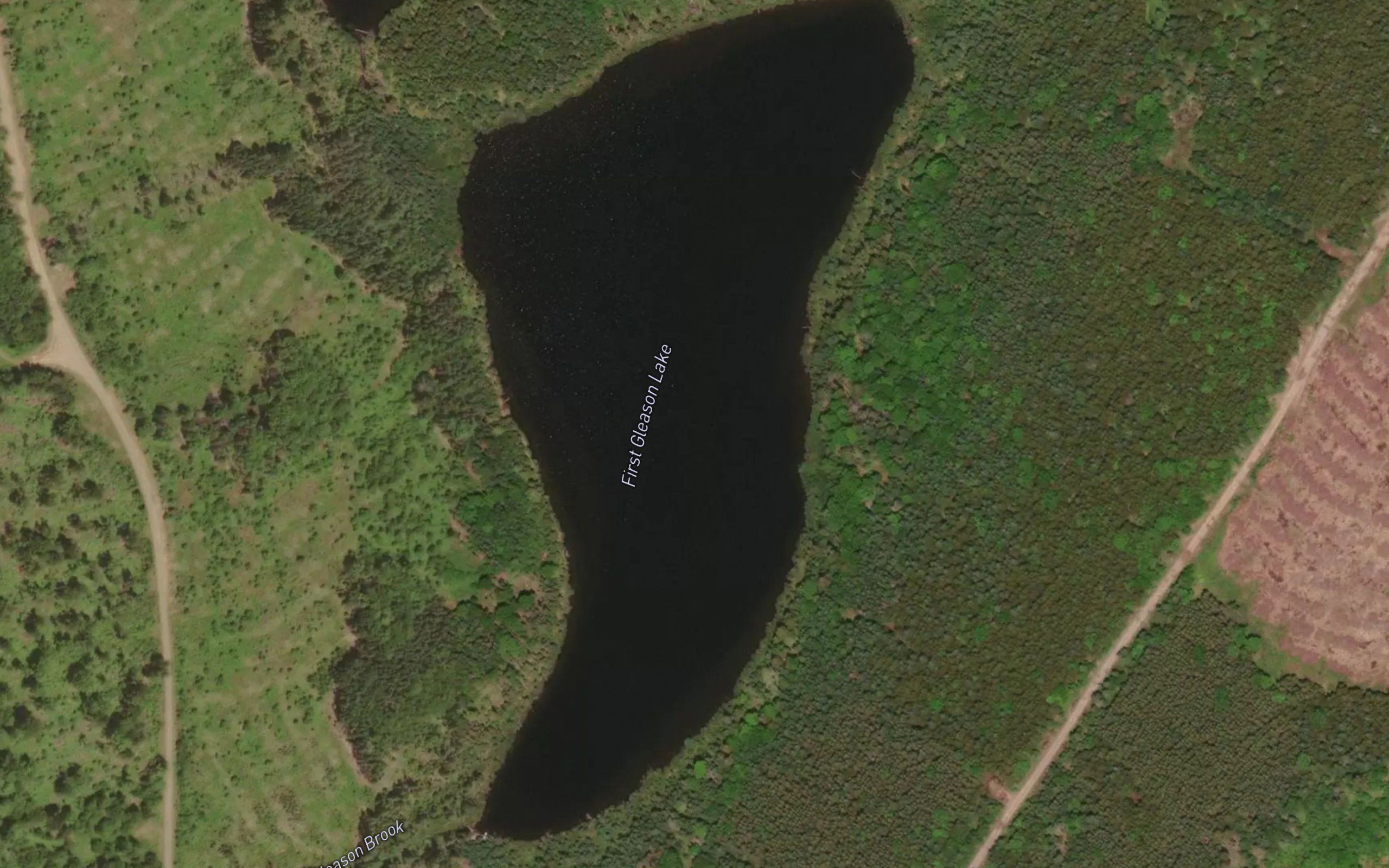 First Gleason Lake