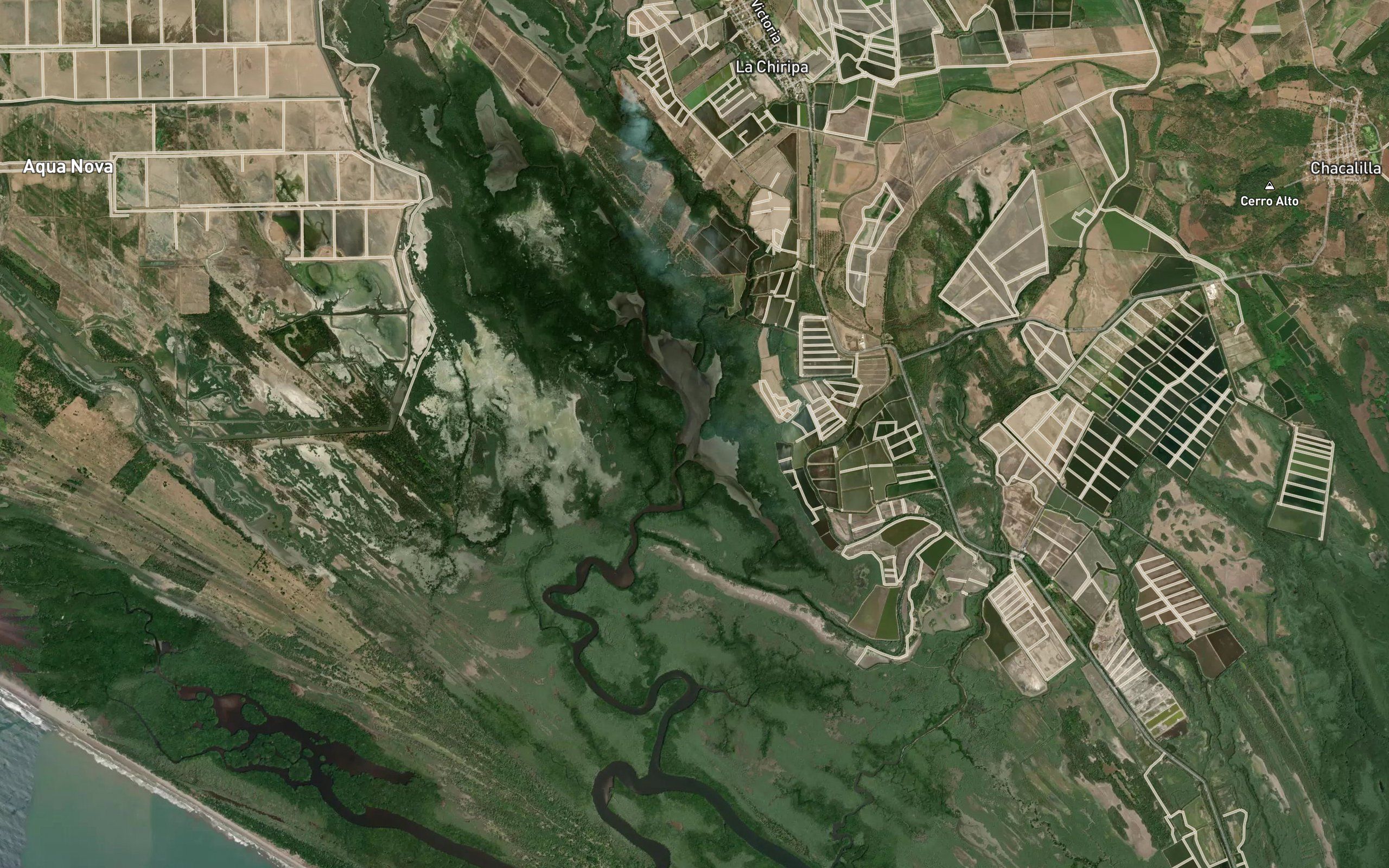 Laguna Pericos