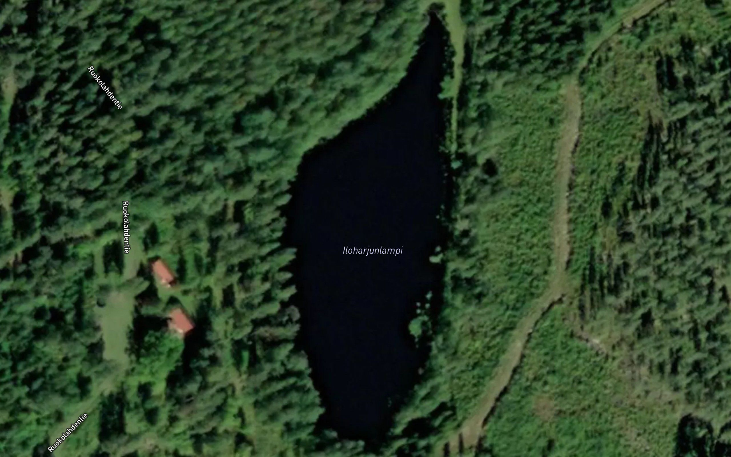 Iloharjunlampi
