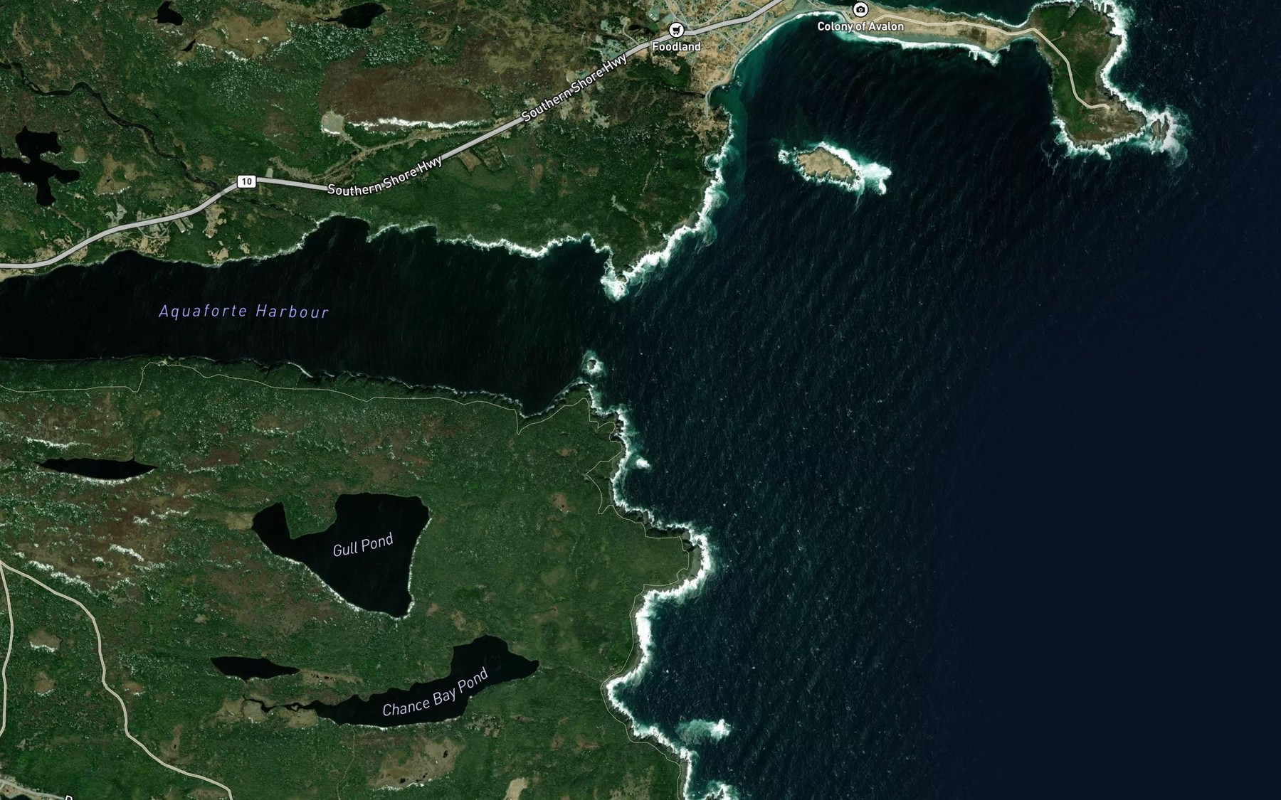 Satellite map of the Lance Cove