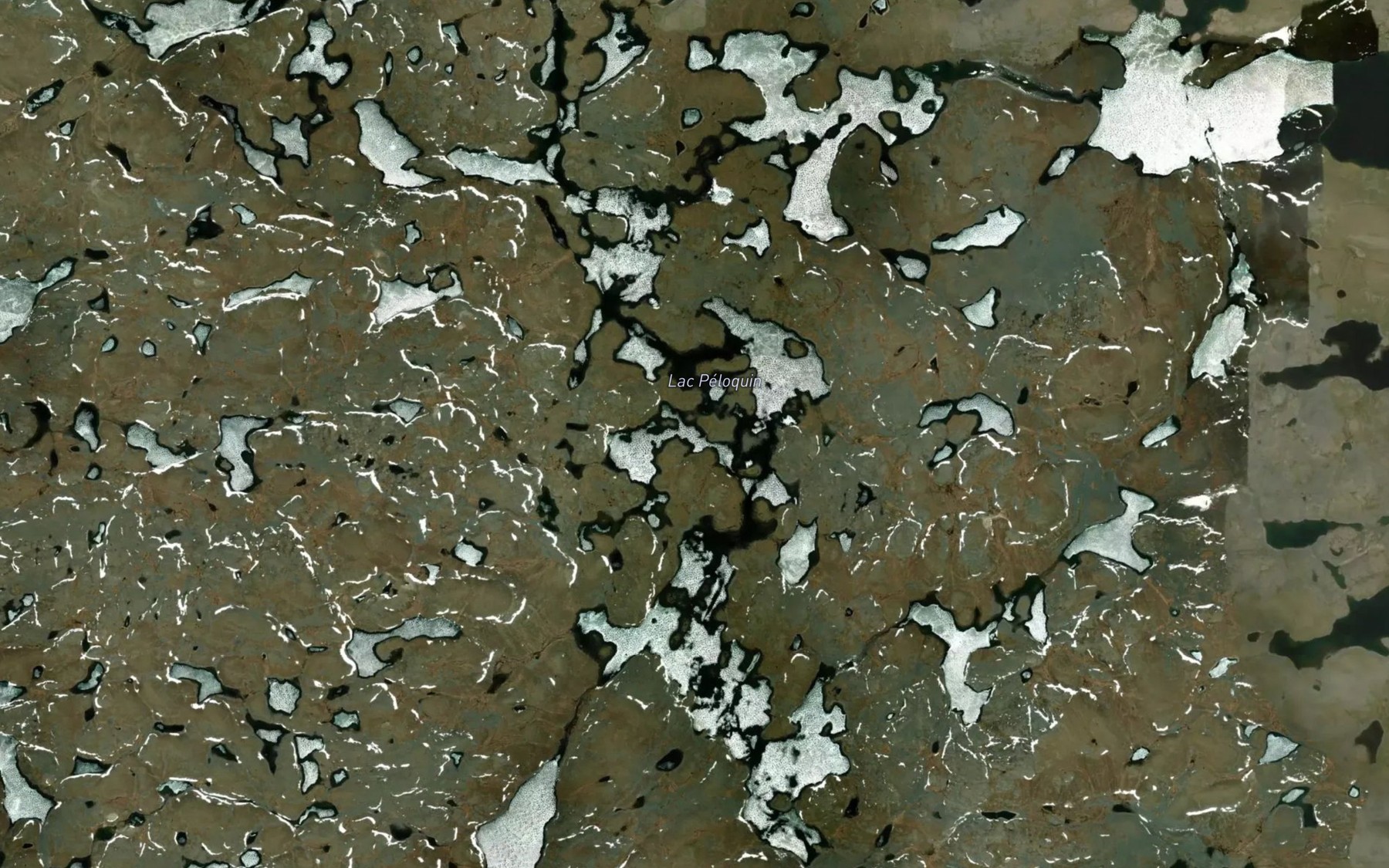 Satellite map of the Lac Peloquin