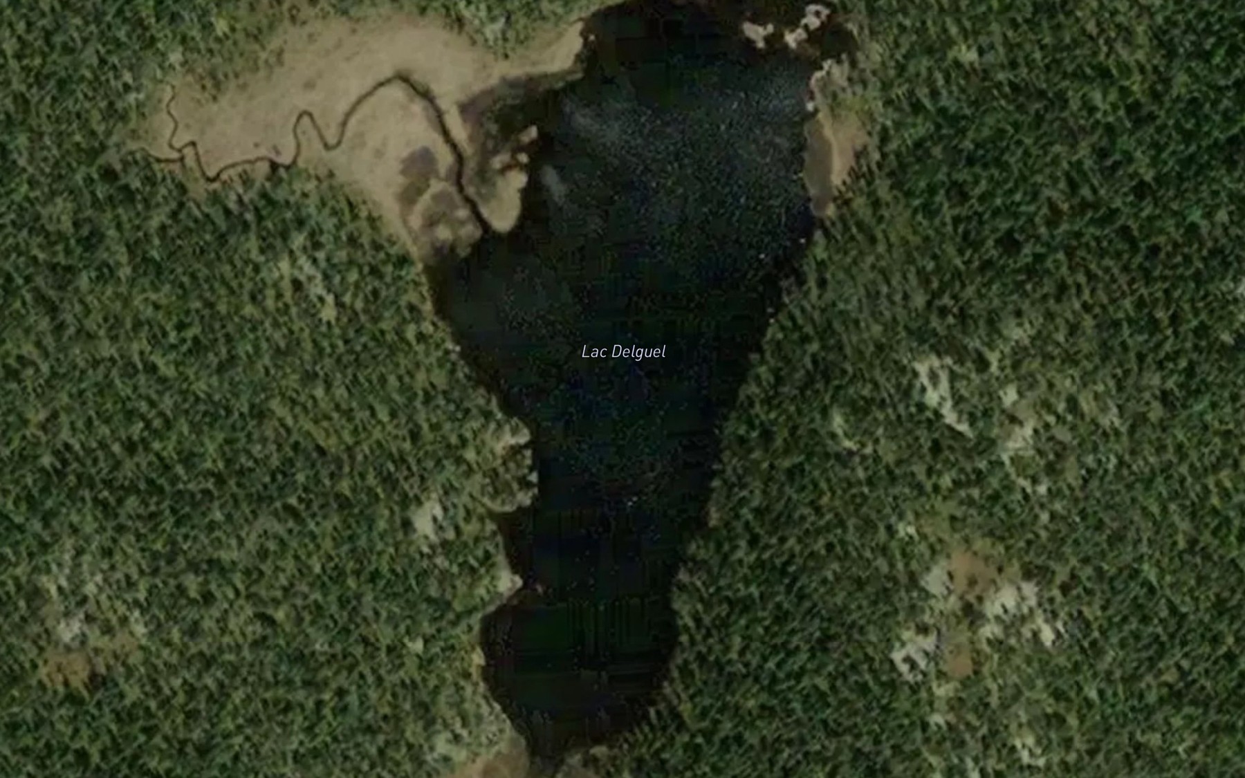 Satellite map of the Lac Delguel