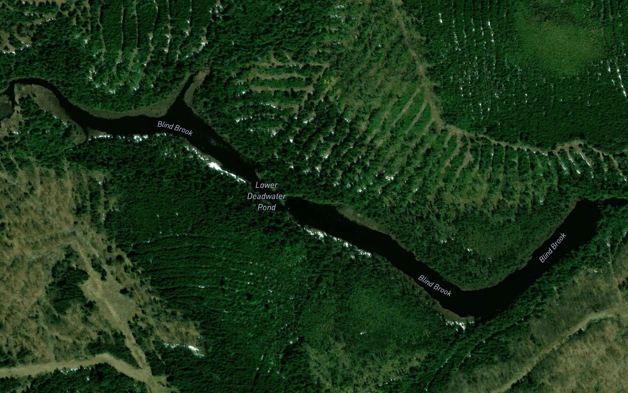 Lower Deadwater Pond