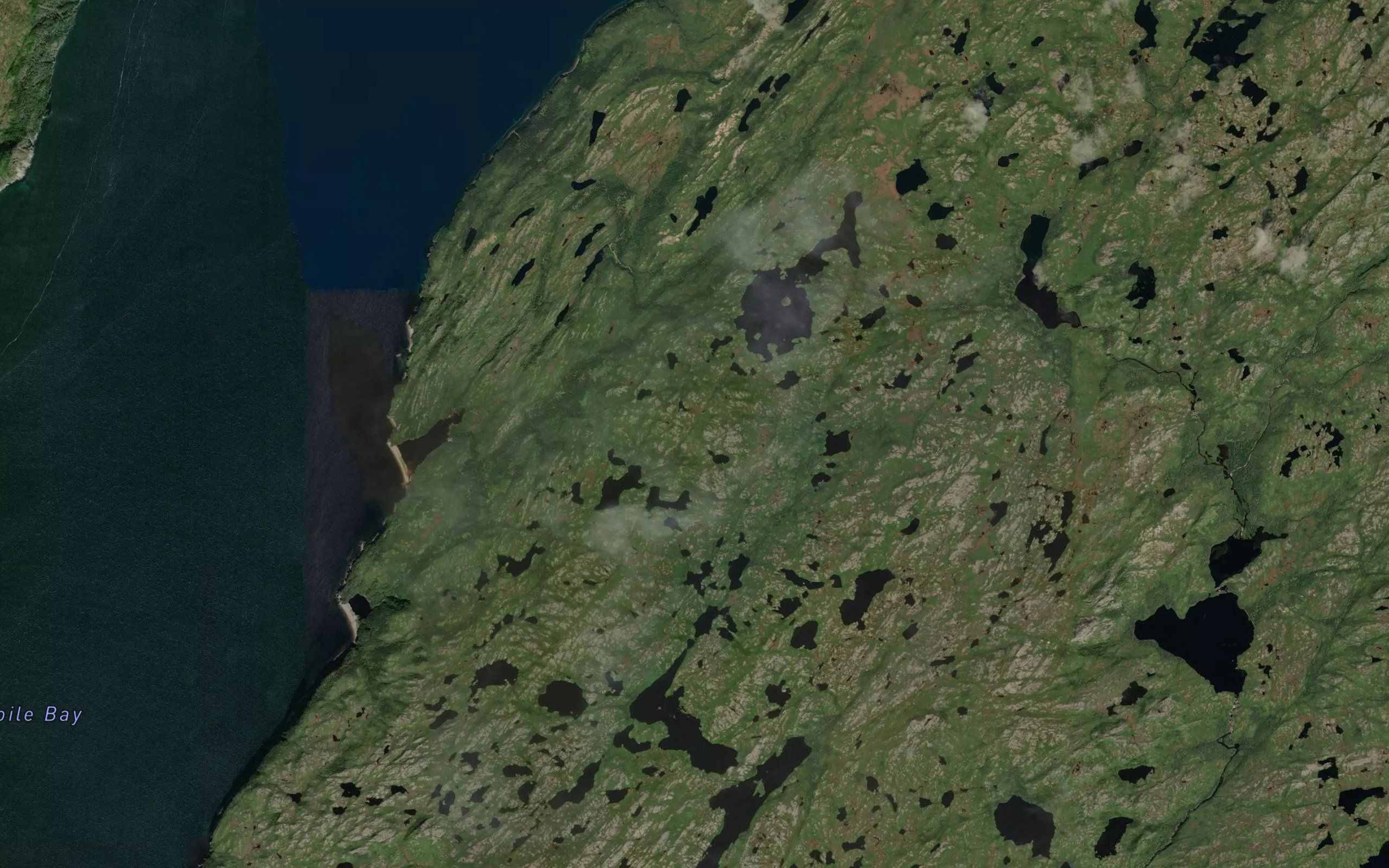 Sandy Cove Gull Pond