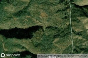 Pine Spring
