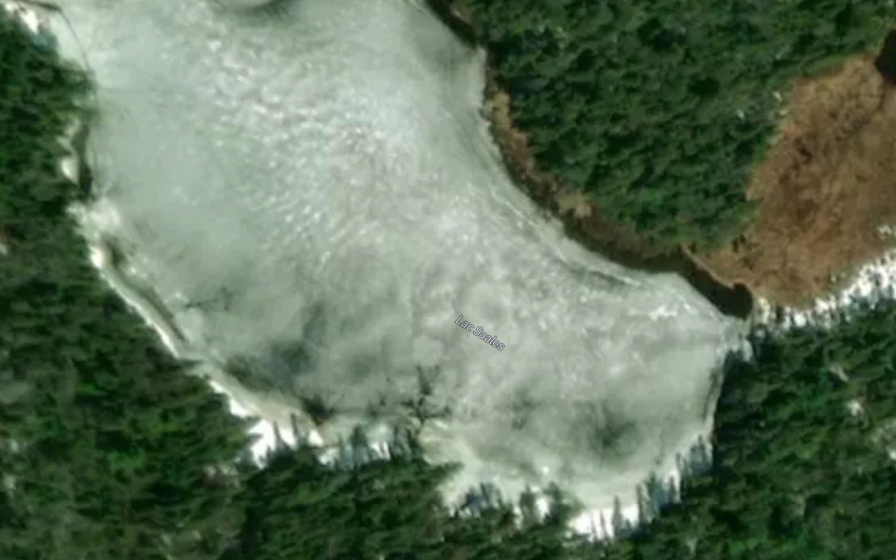 Satellite map of the Lac Saales
