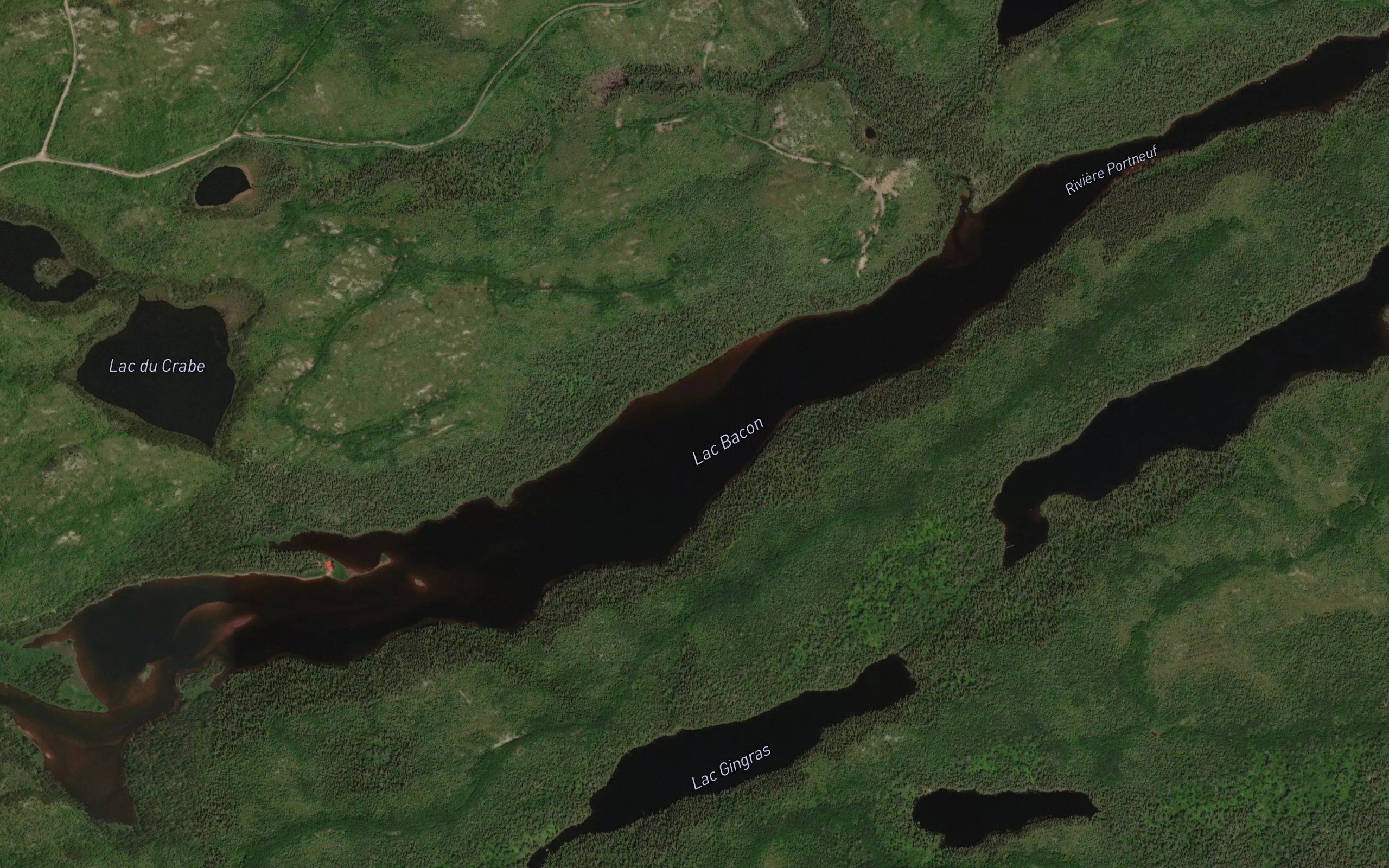 Lac Bacon