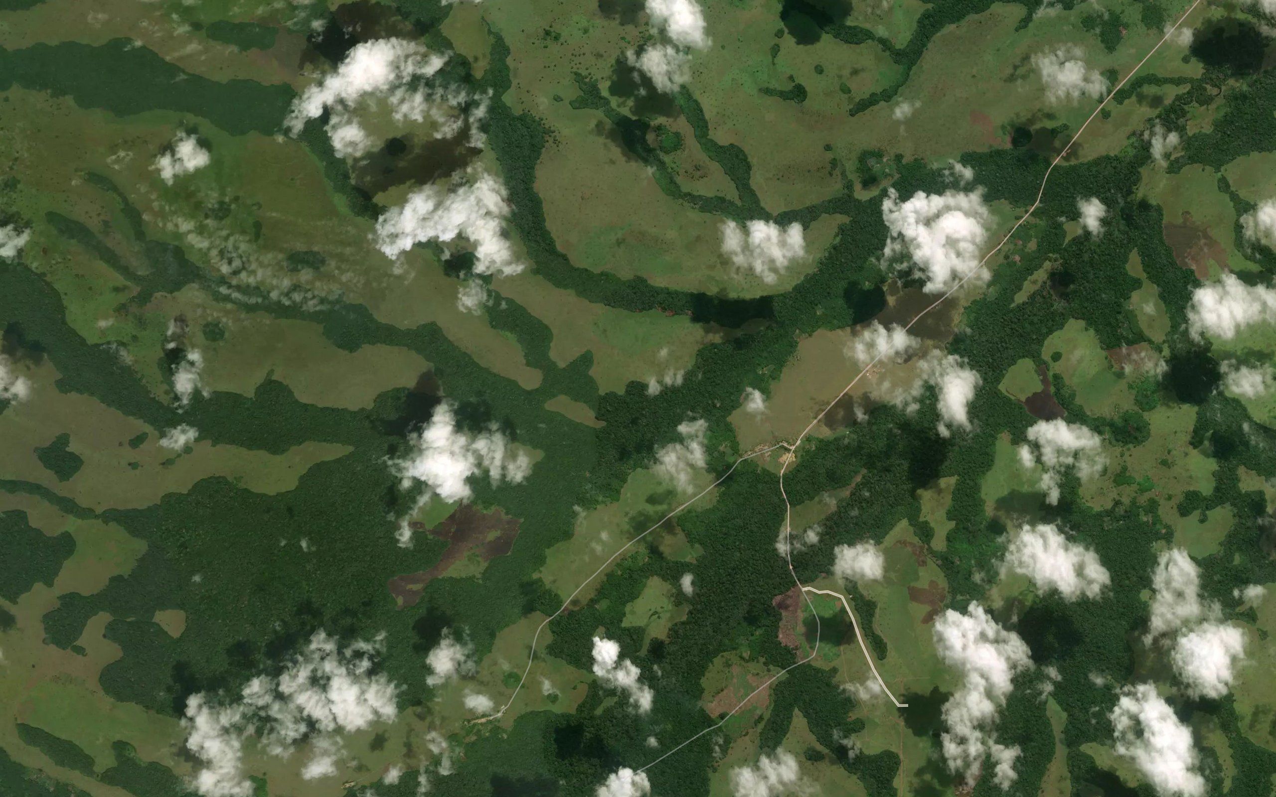 Katoula