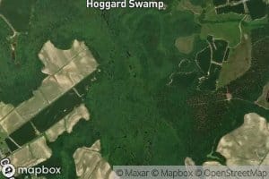 Whiteoak Swamp
