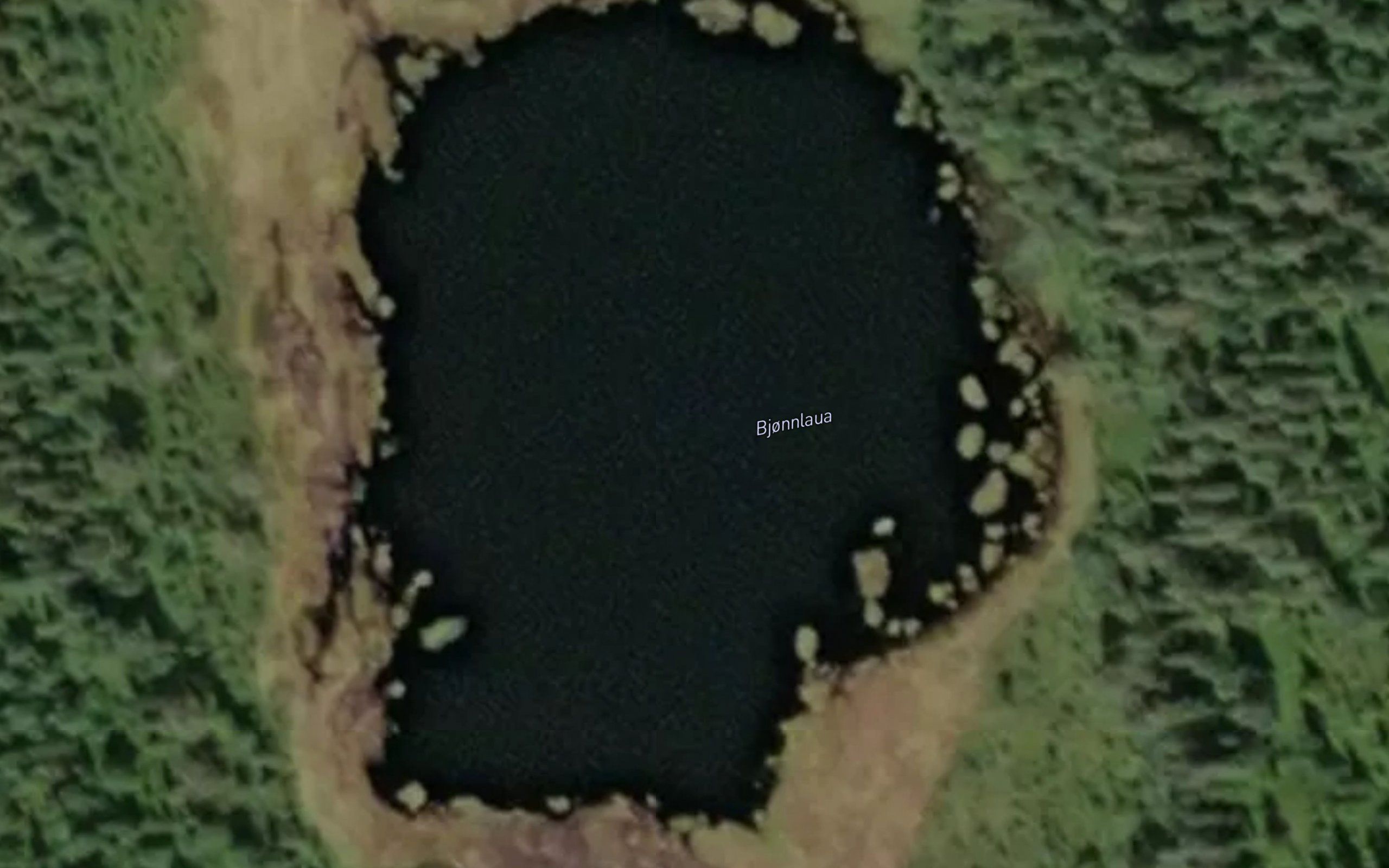Bjonnlaua