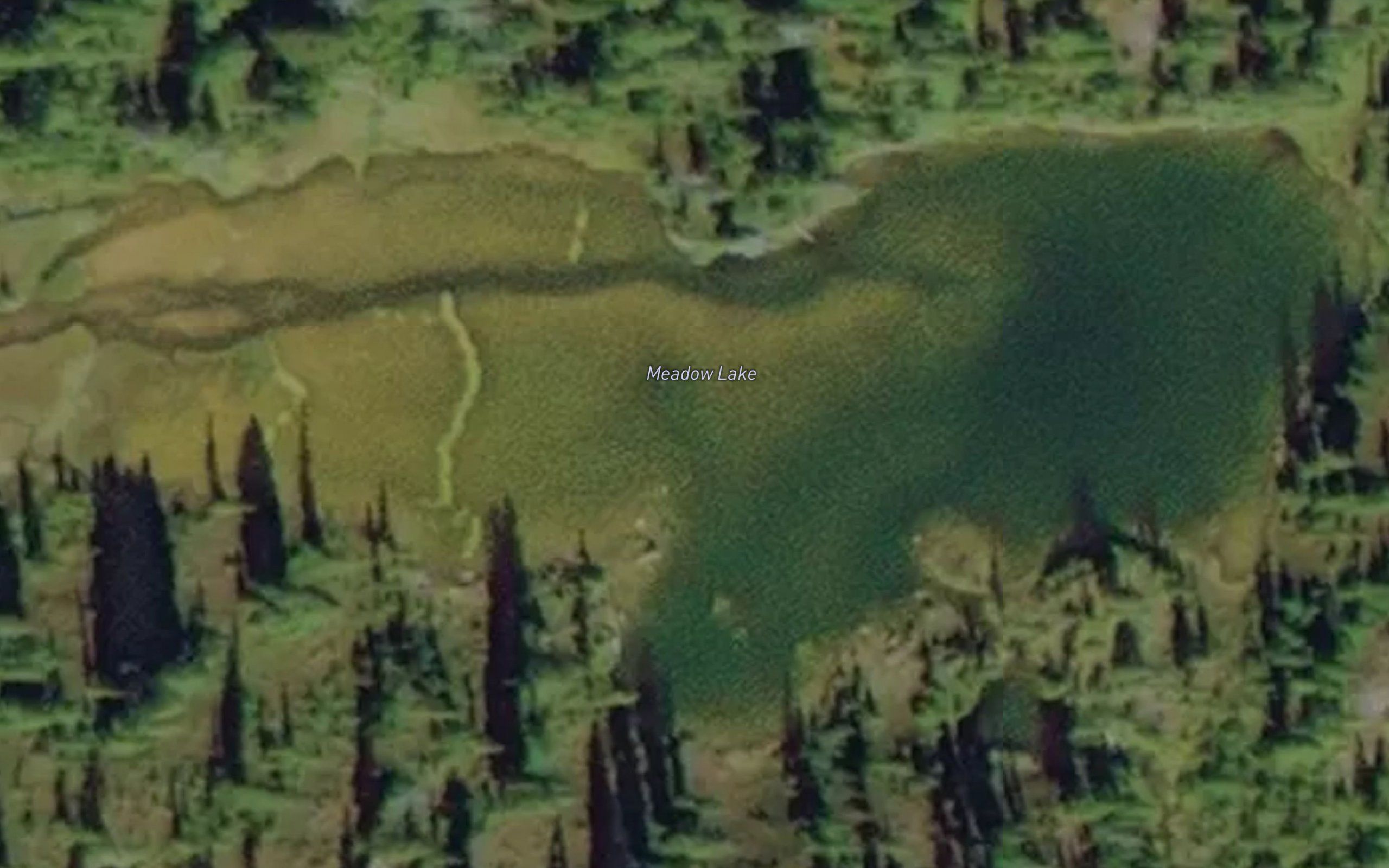 Meadow Lake