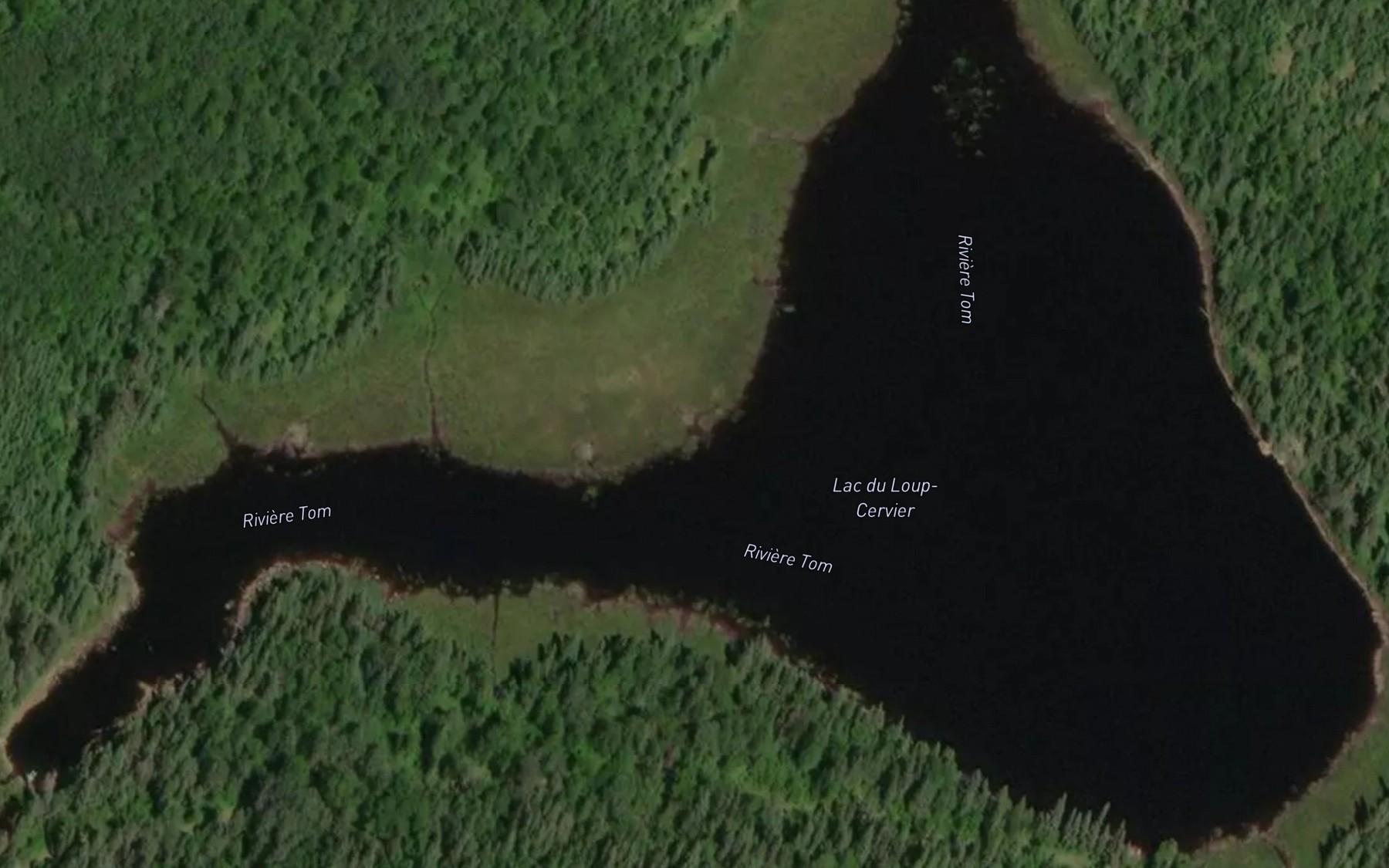 Satellite map of the Lac du Loup-Cervier