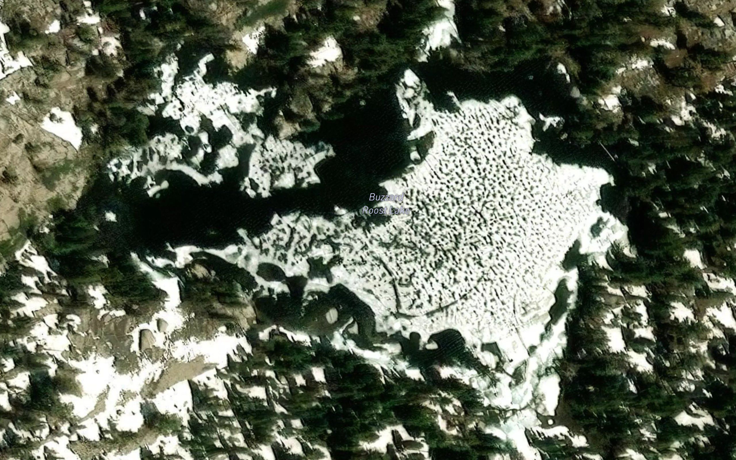 Buzzard Roost Lake