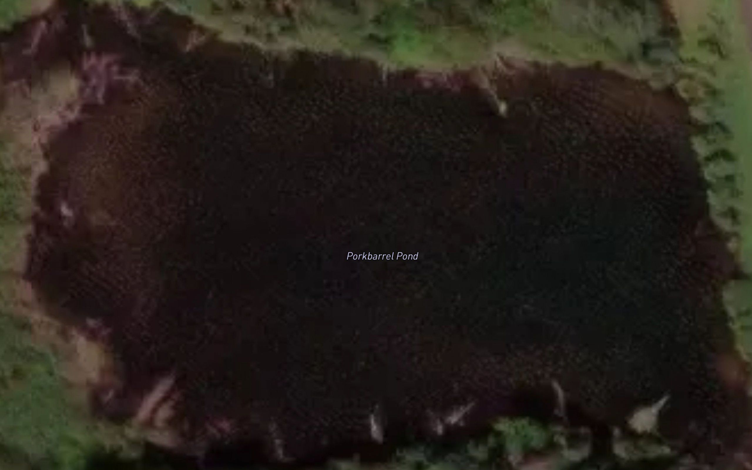 Porkbarrel Pond