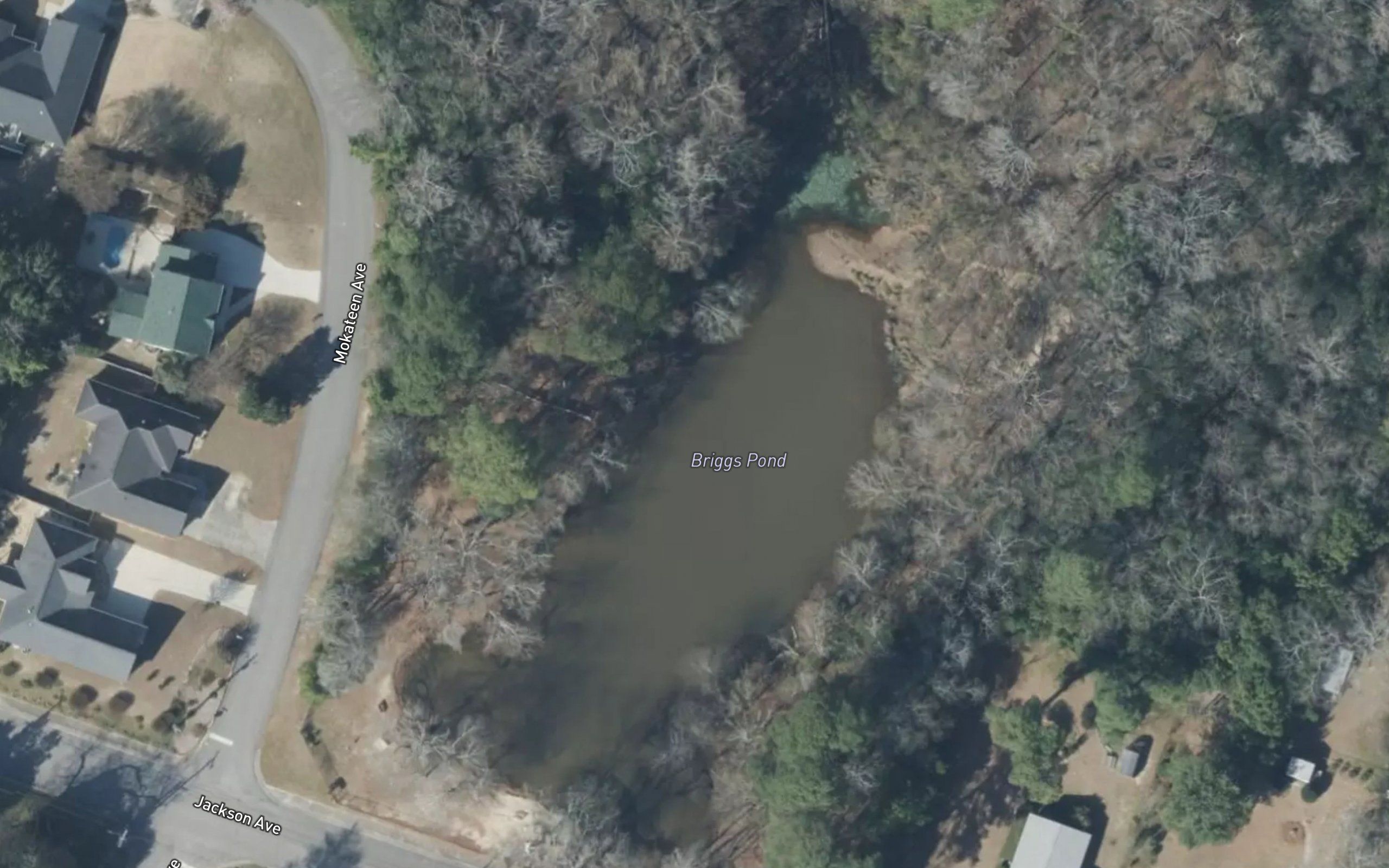 Briggs Pond