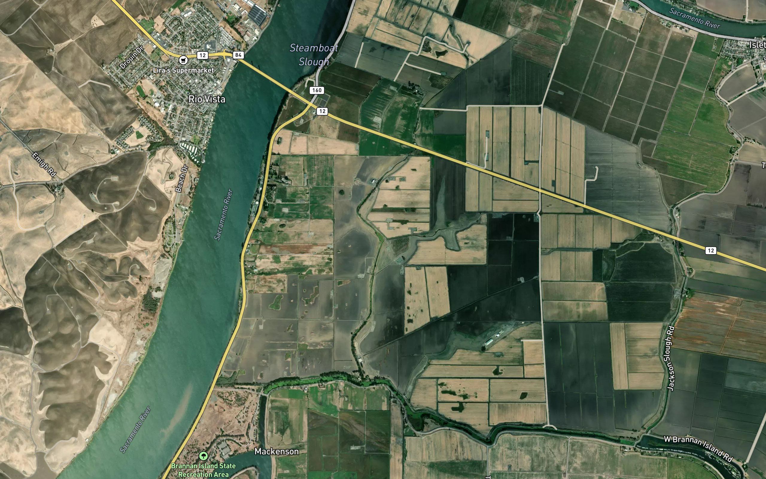Tomato Slough