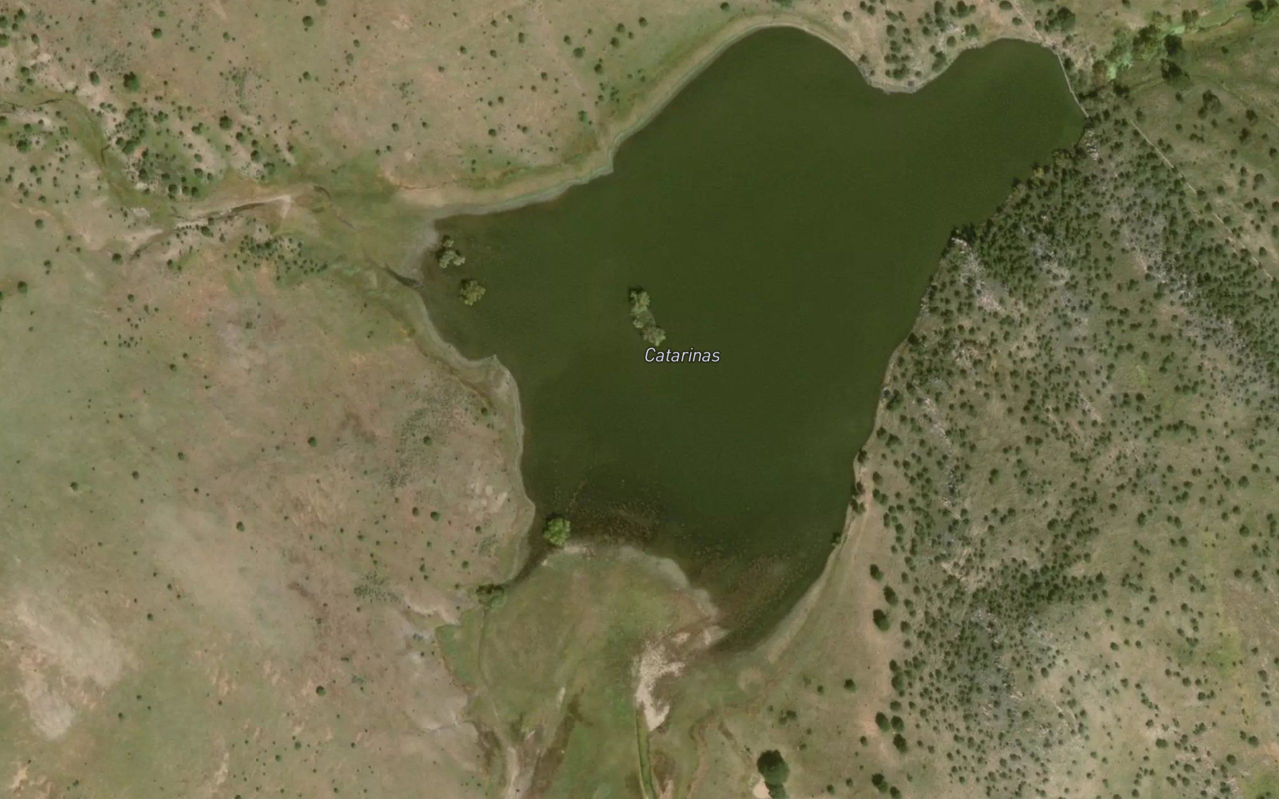 Catarinas