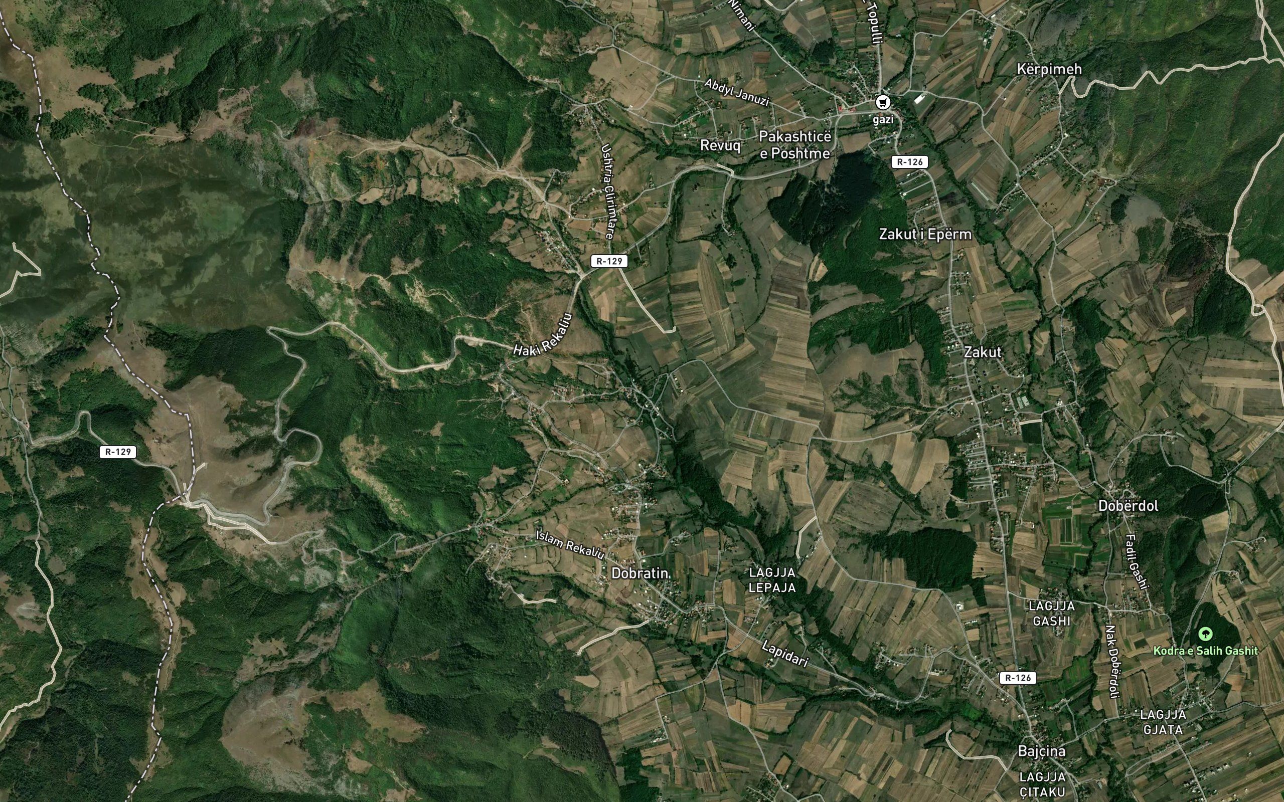 Bajgora