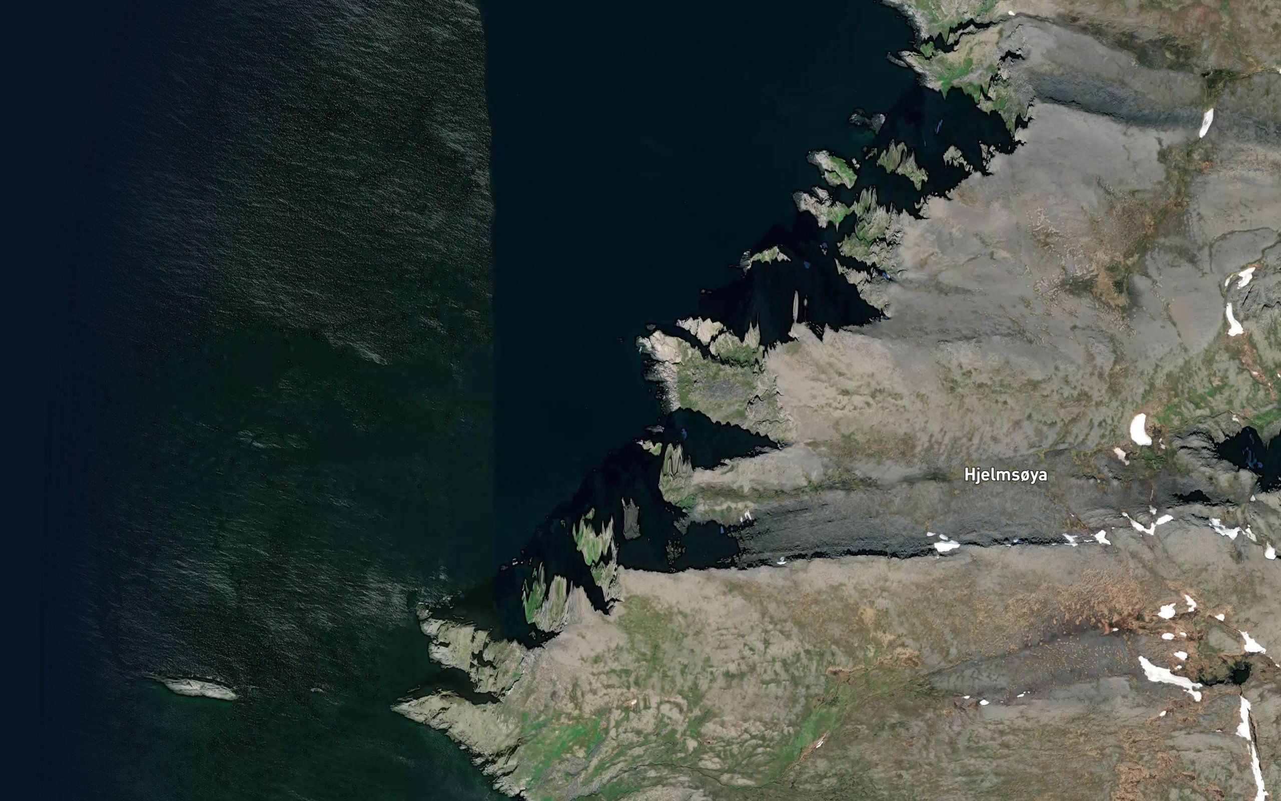 Spissbergvika