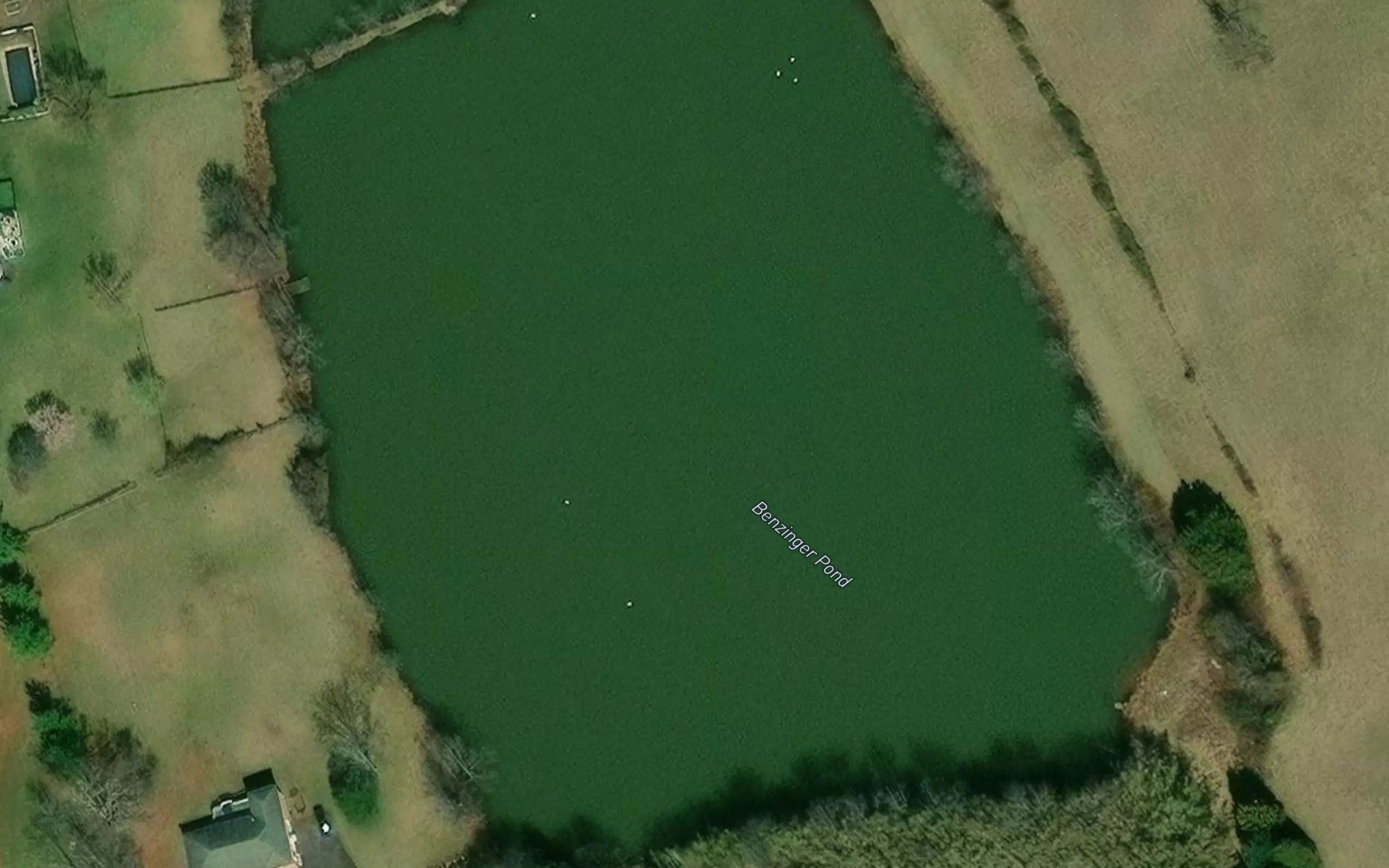 Benzinger Pond