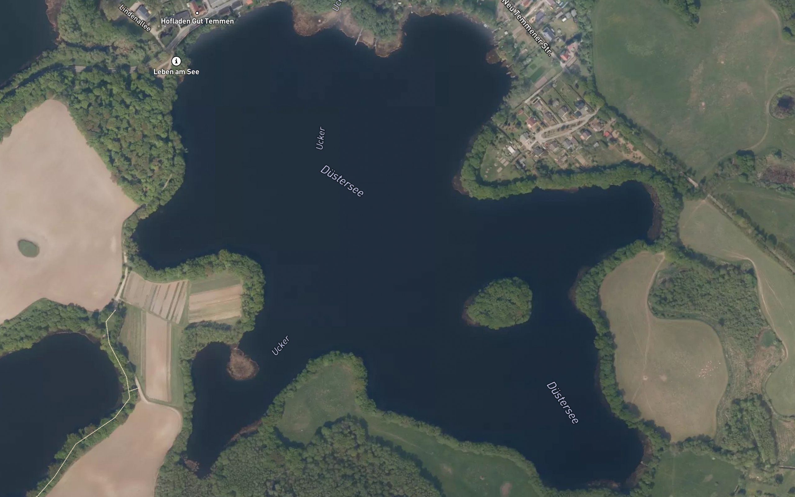 Dustersee