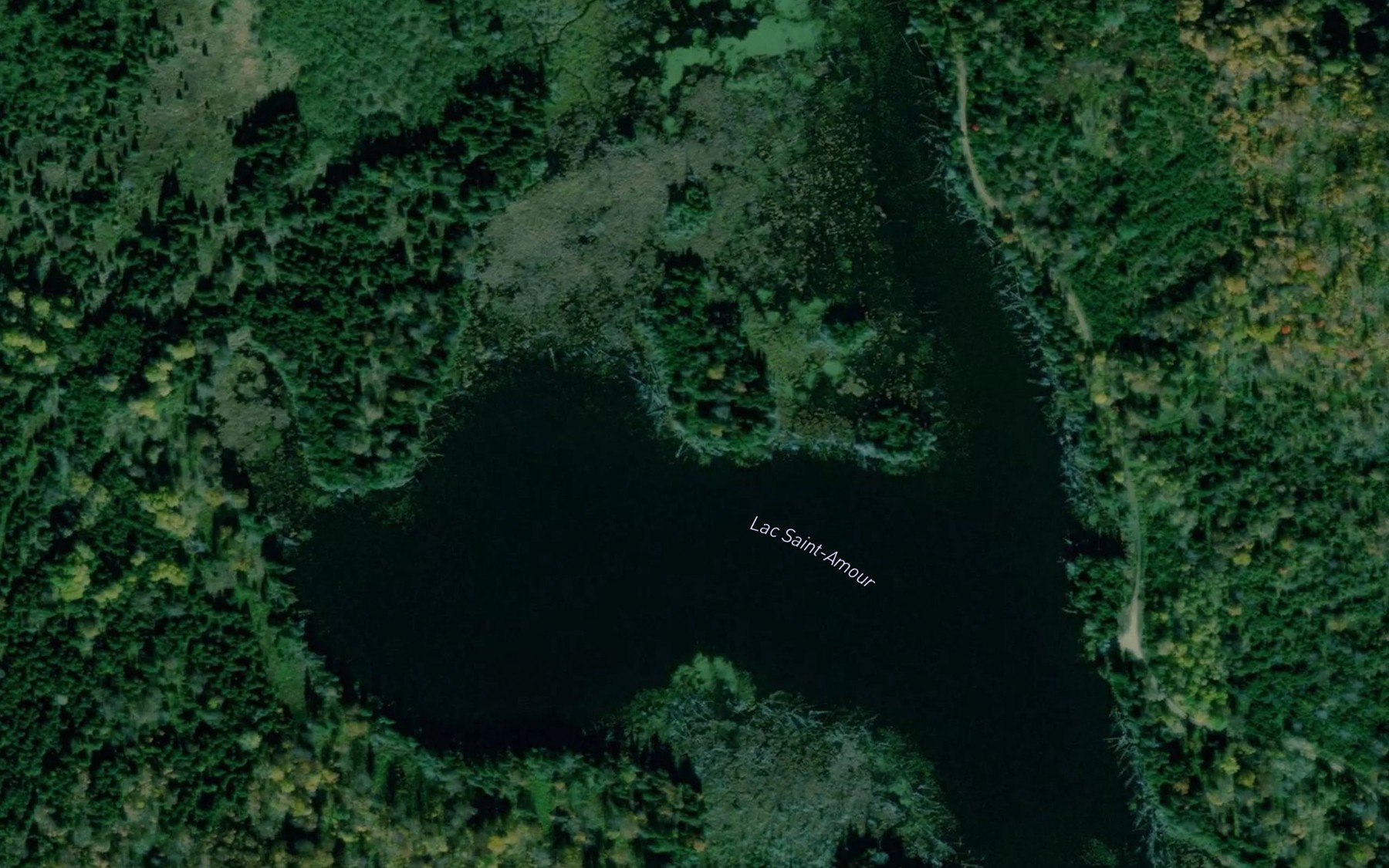 Satellite map of the Lac Saint-Amour