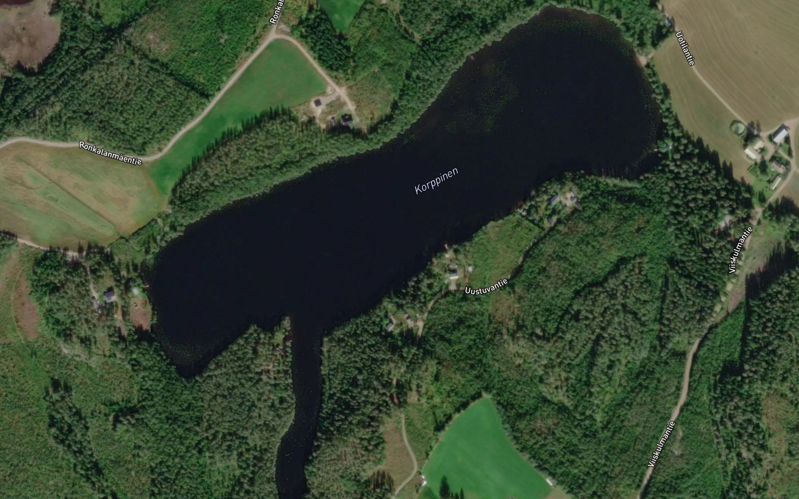 Korppinen