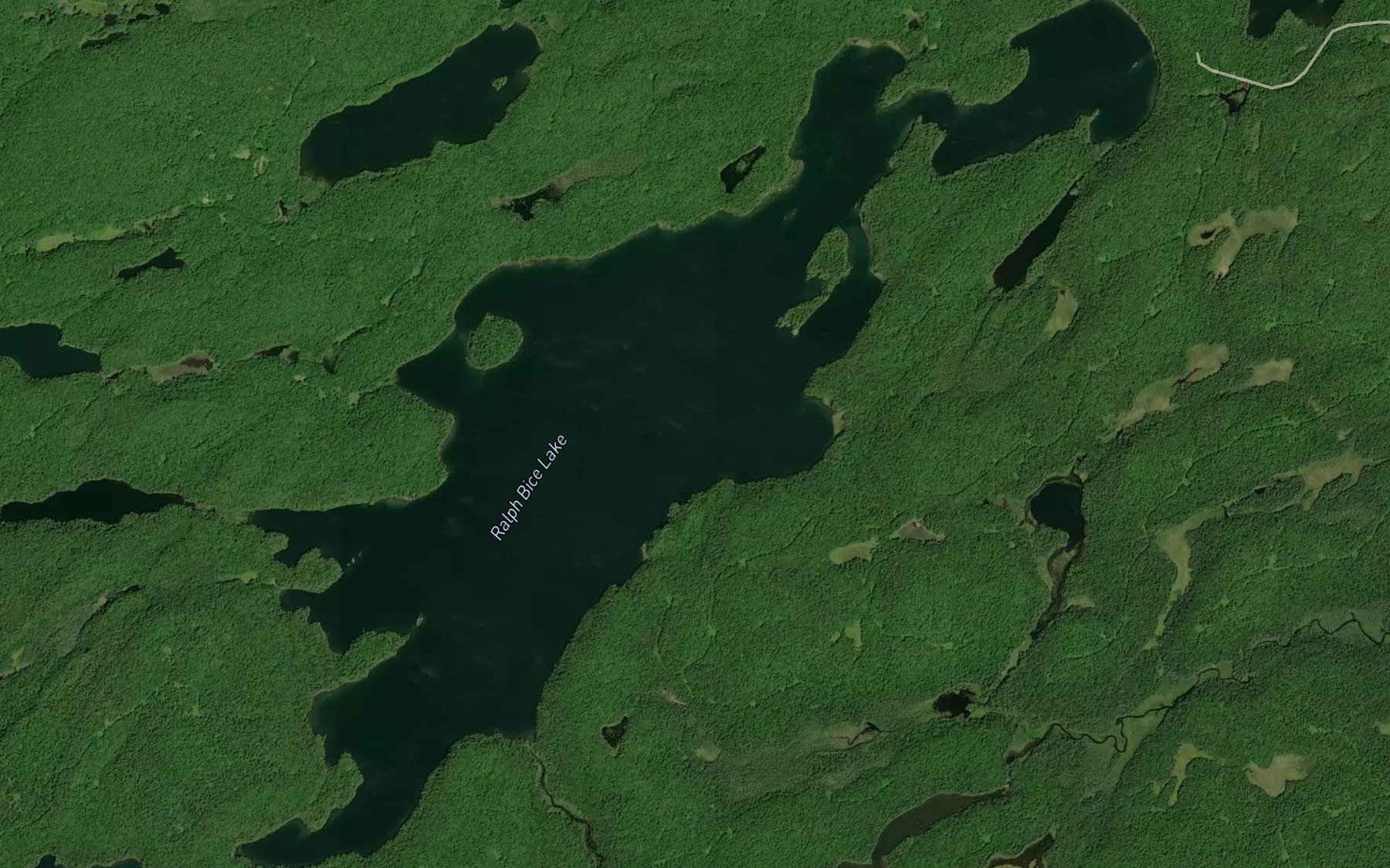 Satellite map of the Ralph Bice Lake