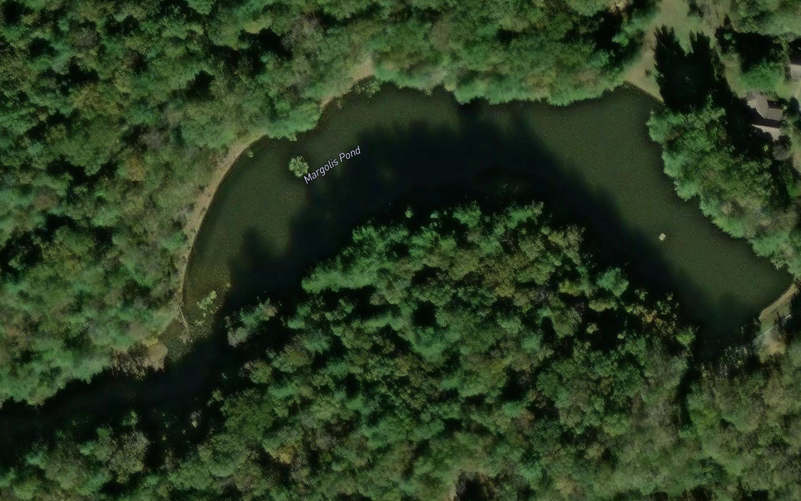 Margolis Pond