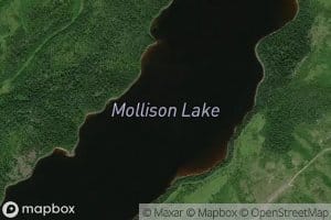 Mollison Lake