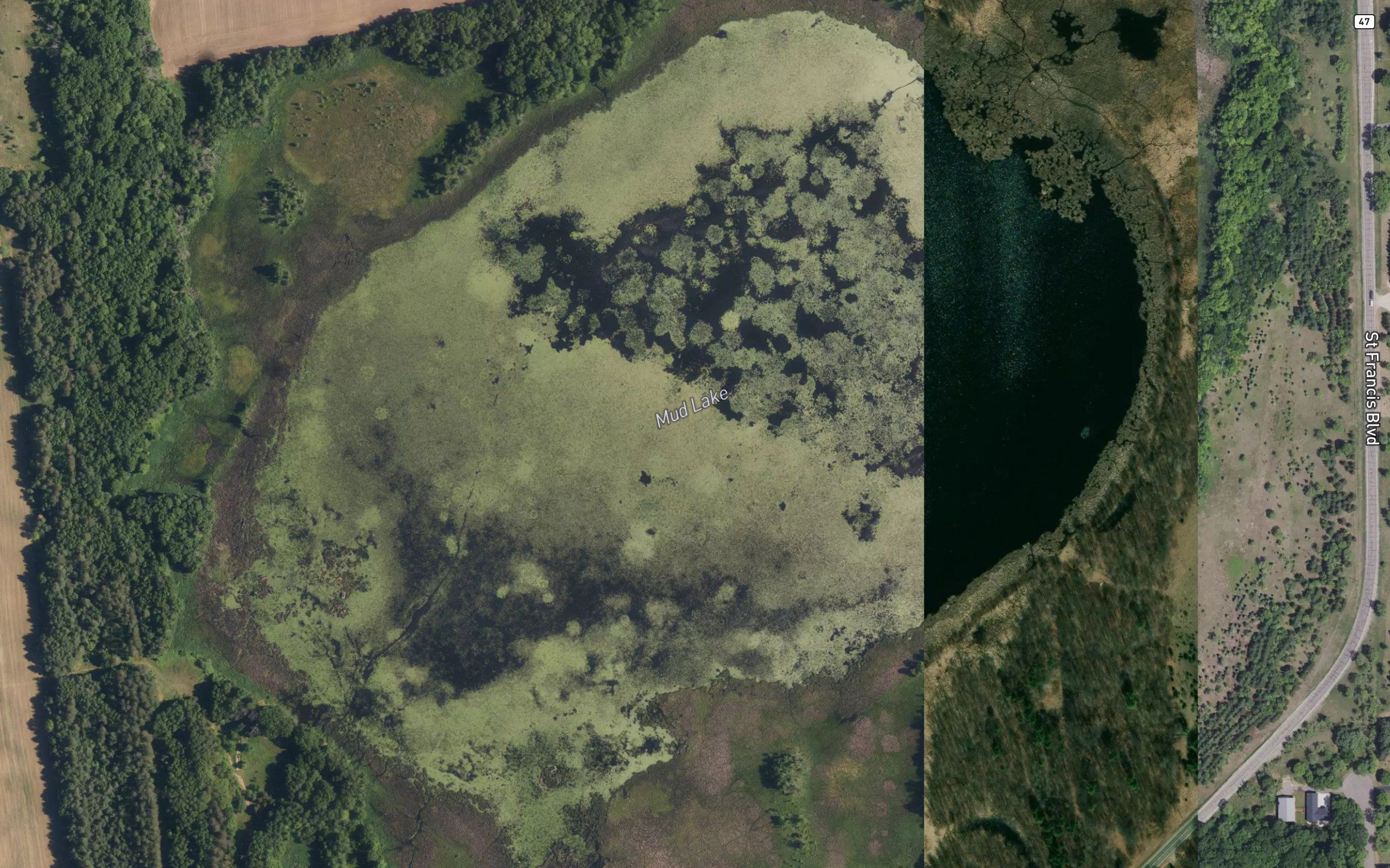Mud Lake