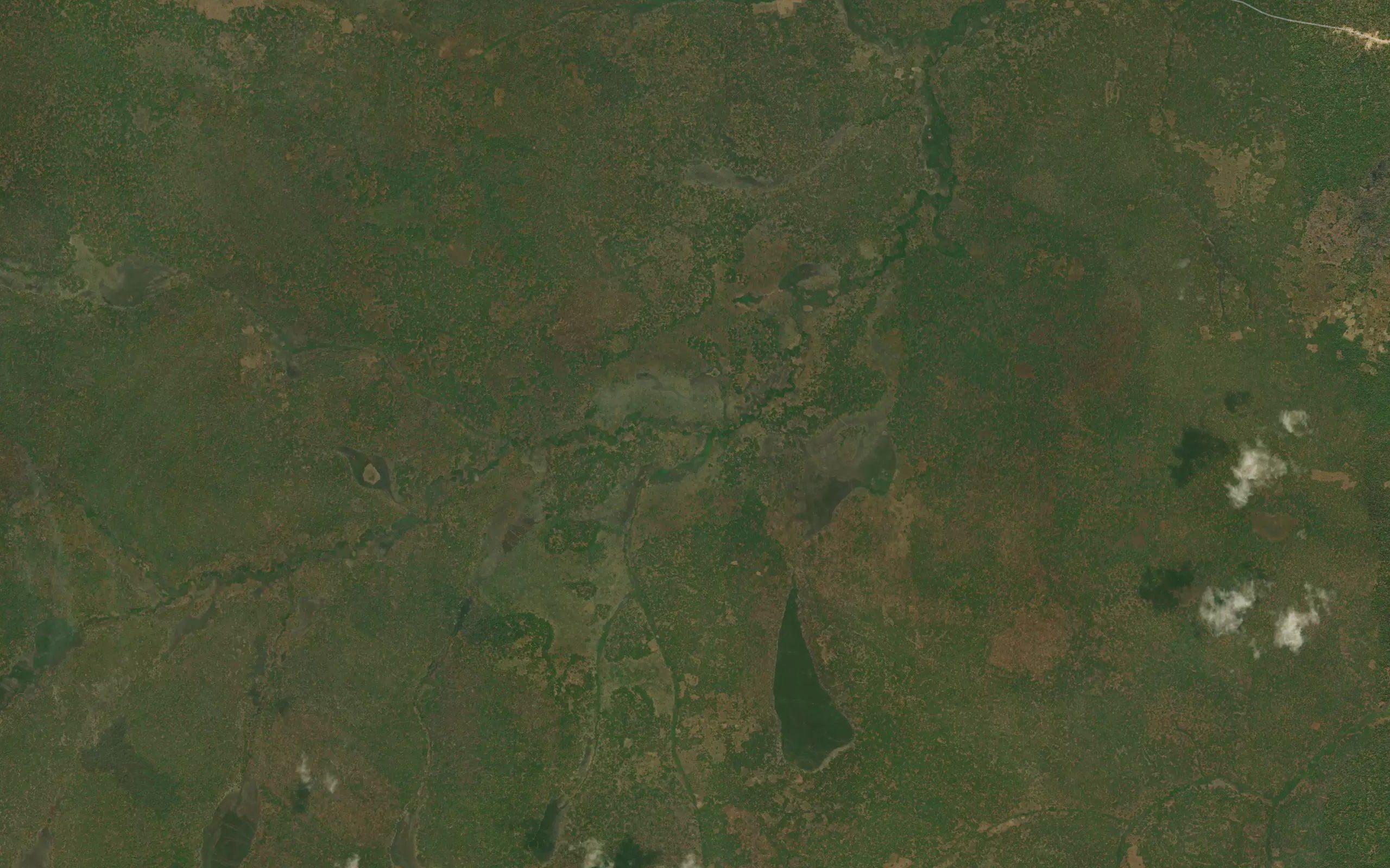 Kafunshi