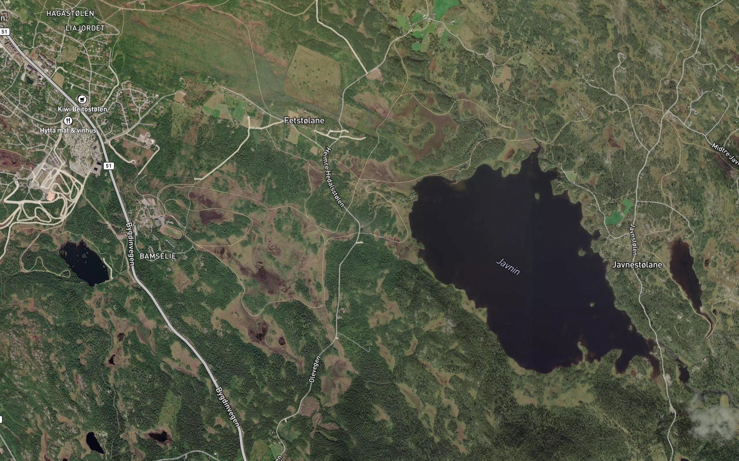 Lortetjedne