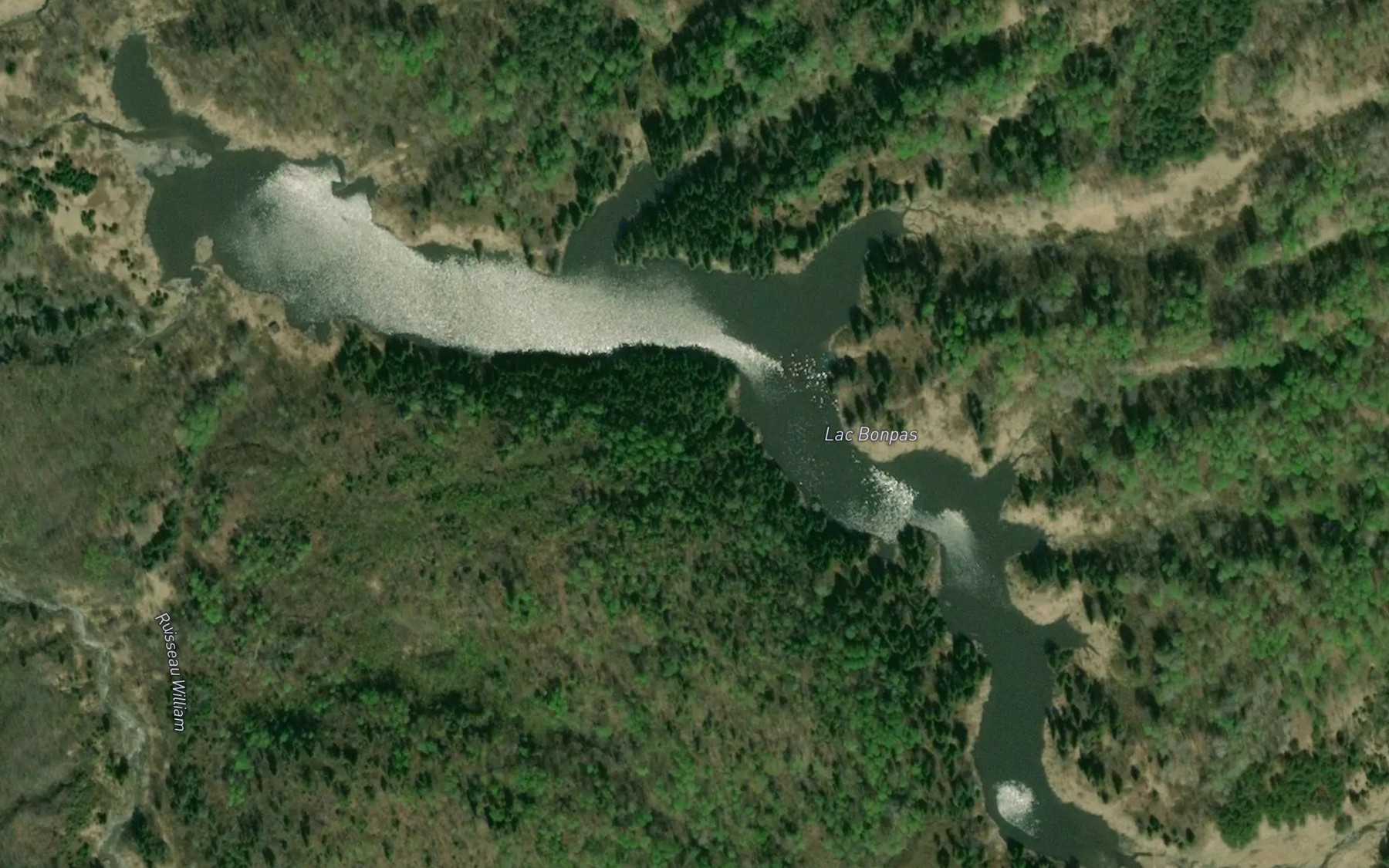 Satellite map of the Lac Bonpas