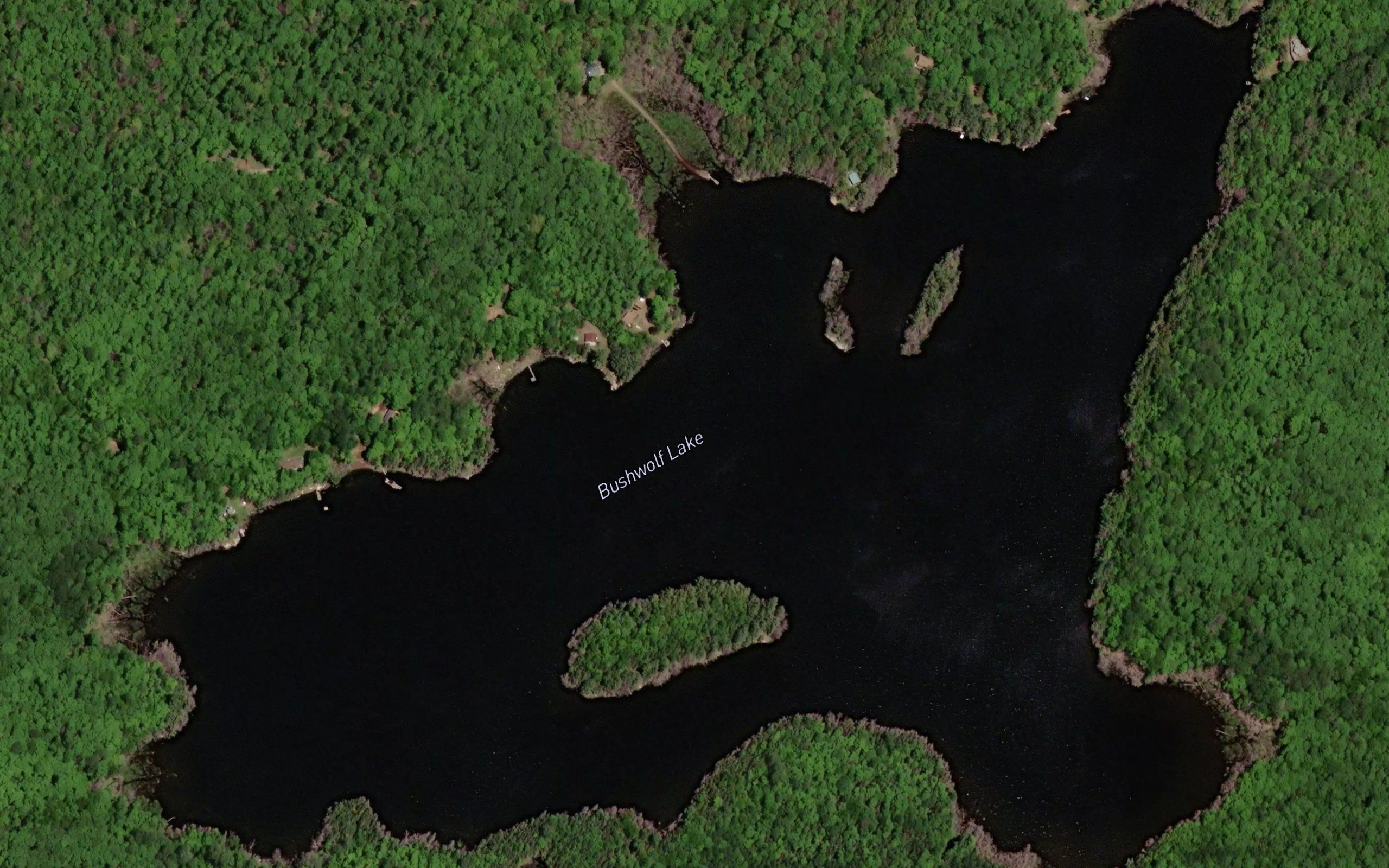 Bushwolf Lake