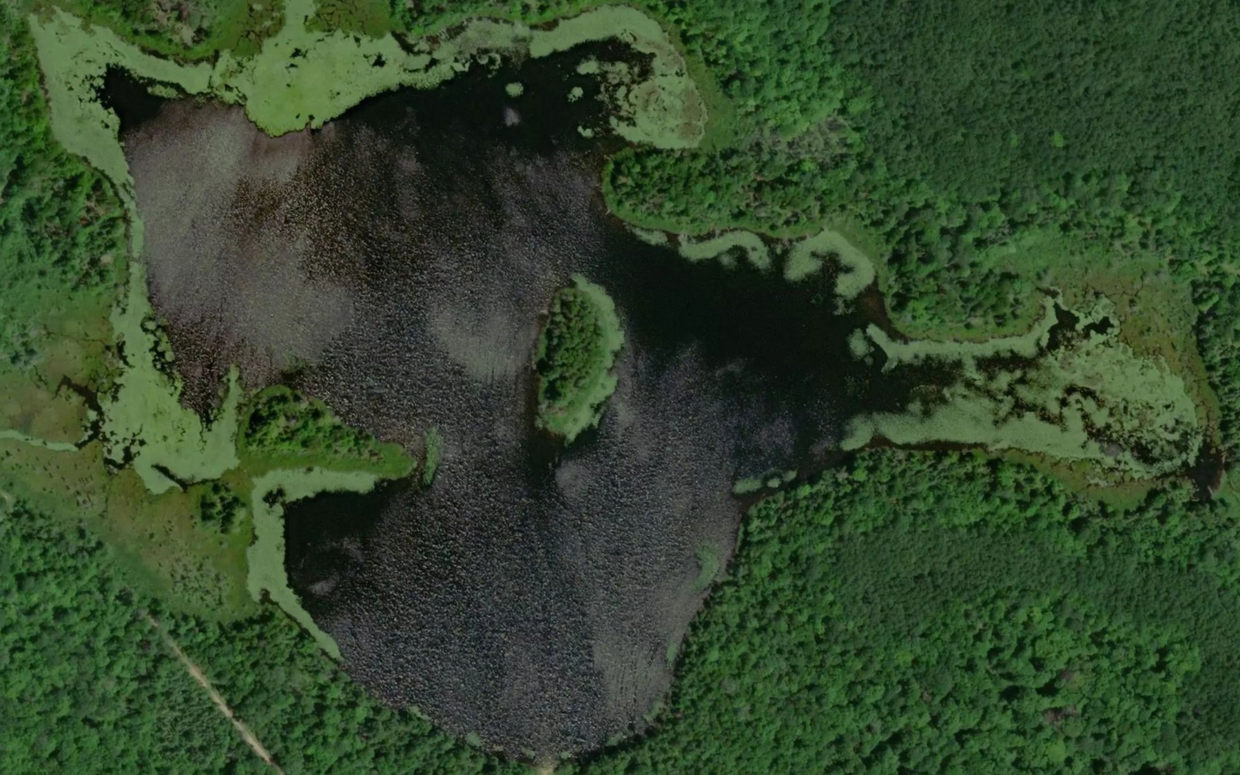 Satellite map of the Cookson Lake