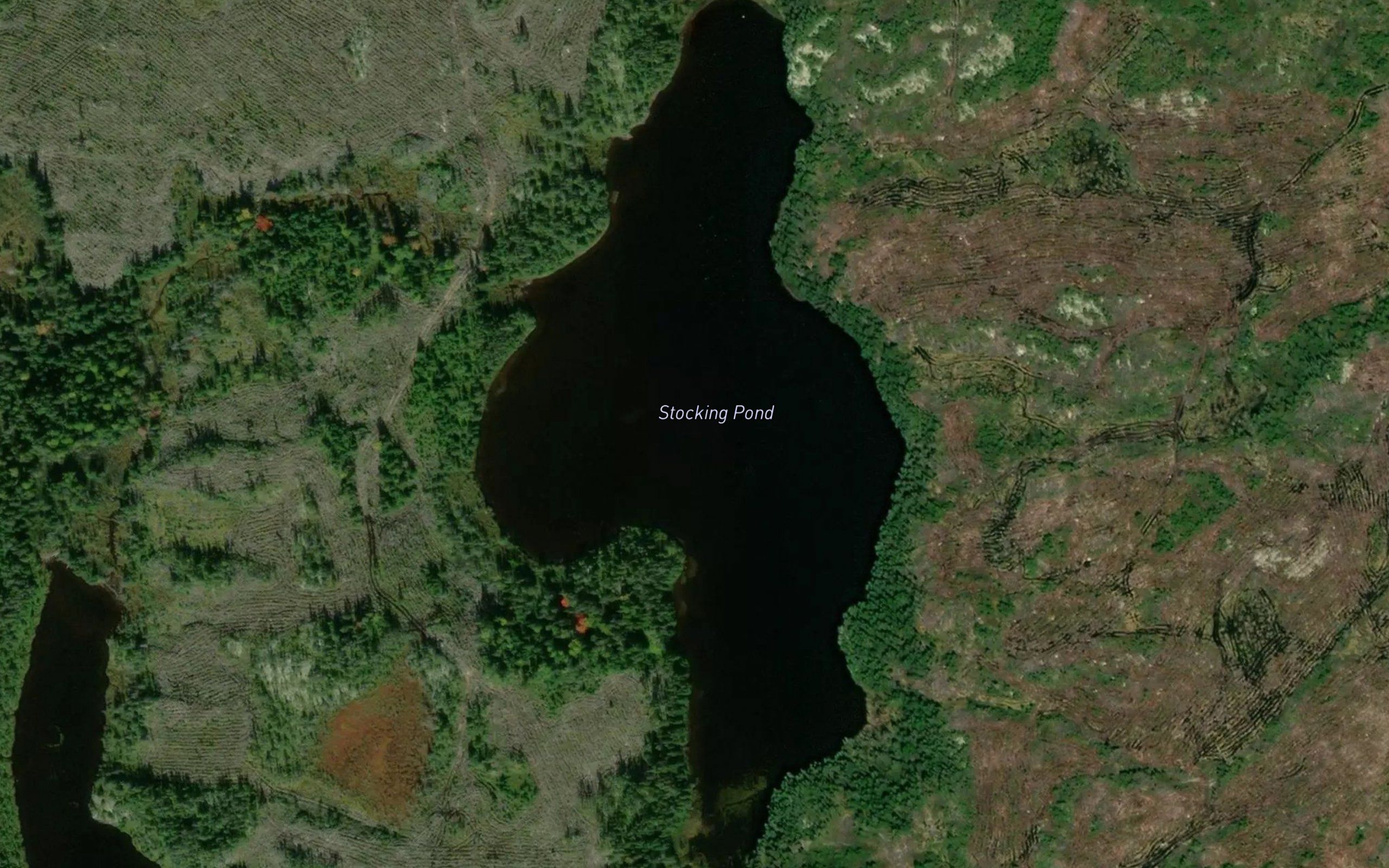 Stocking Pond
