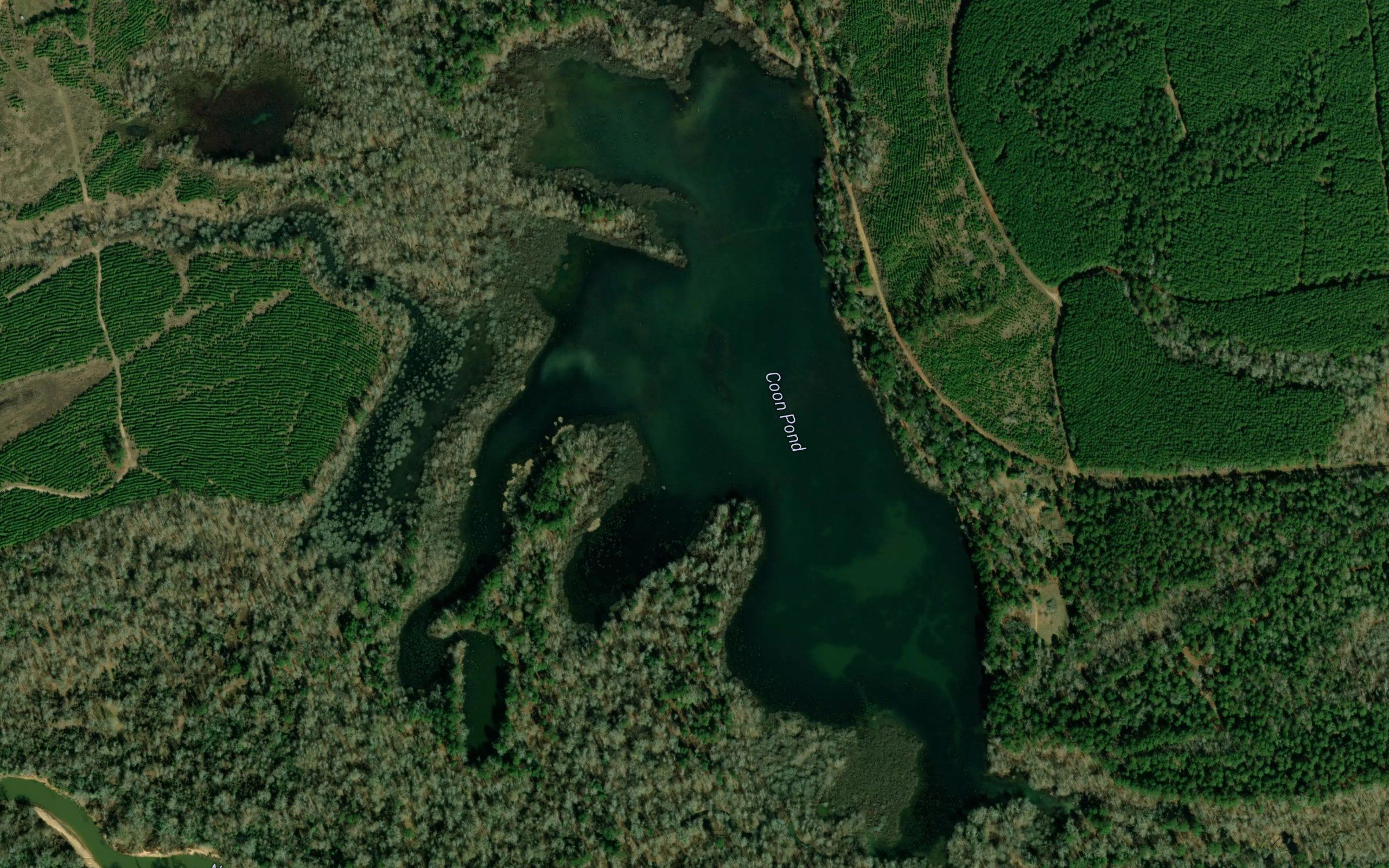 Coon Pond