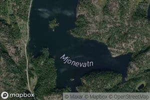 Mjonevatn