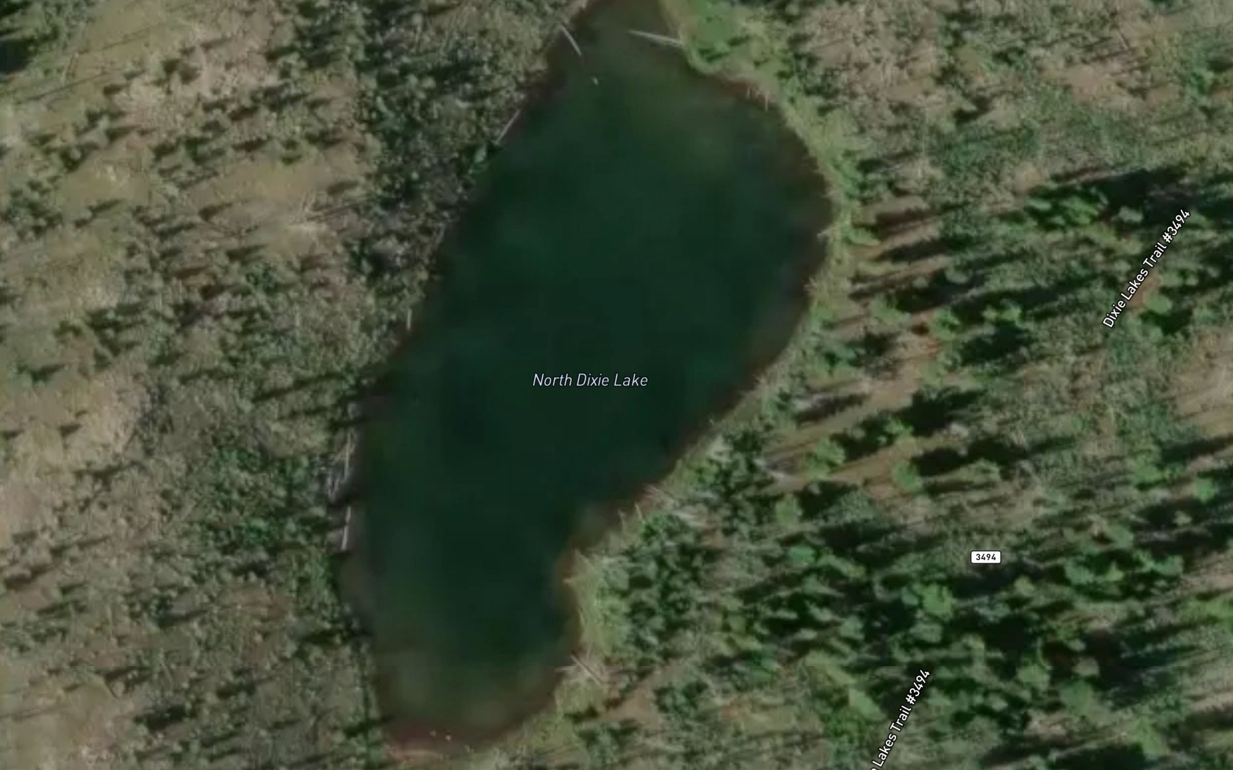 Satellite map of the North Dixie Lake