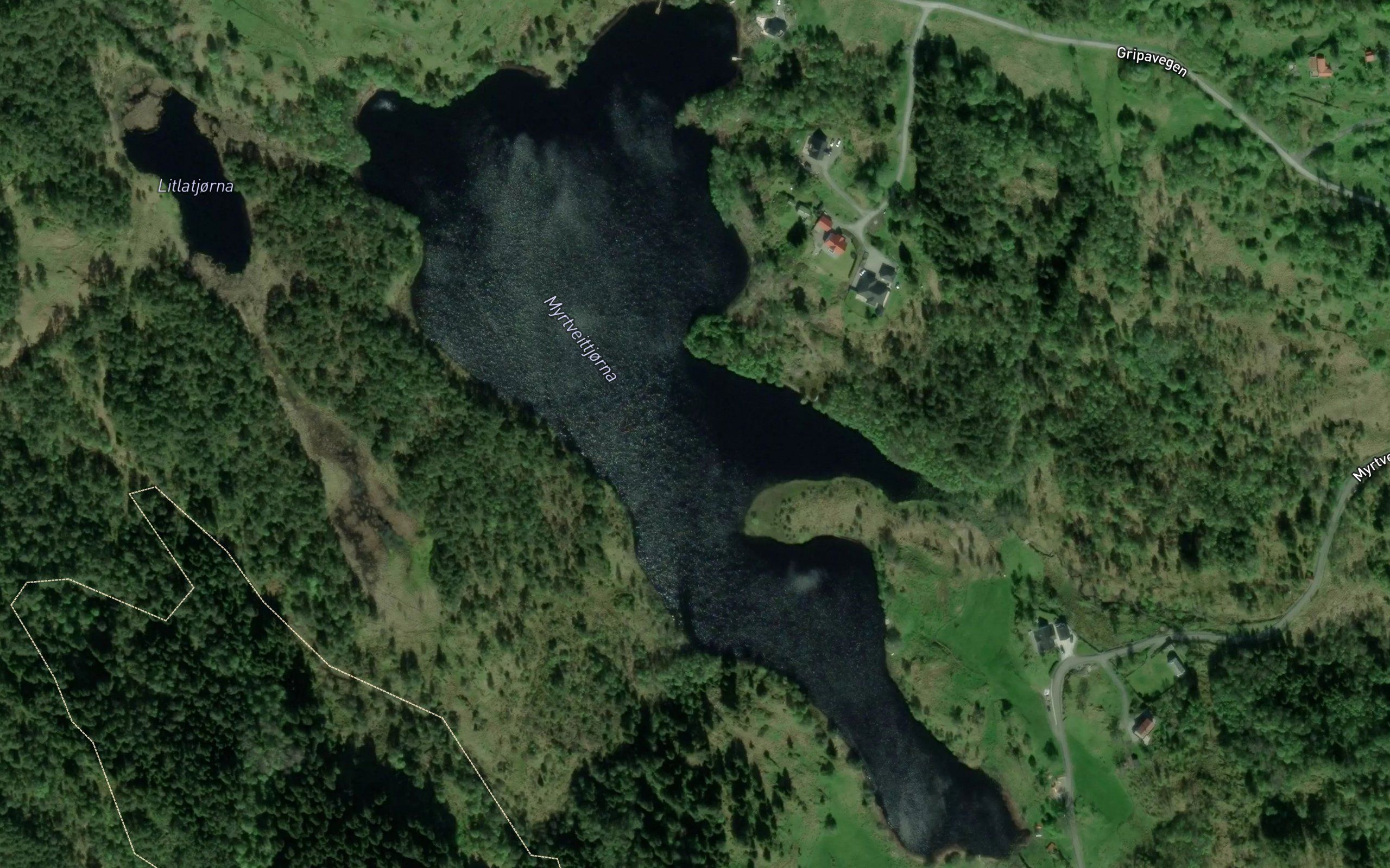 Myrtveittjorni