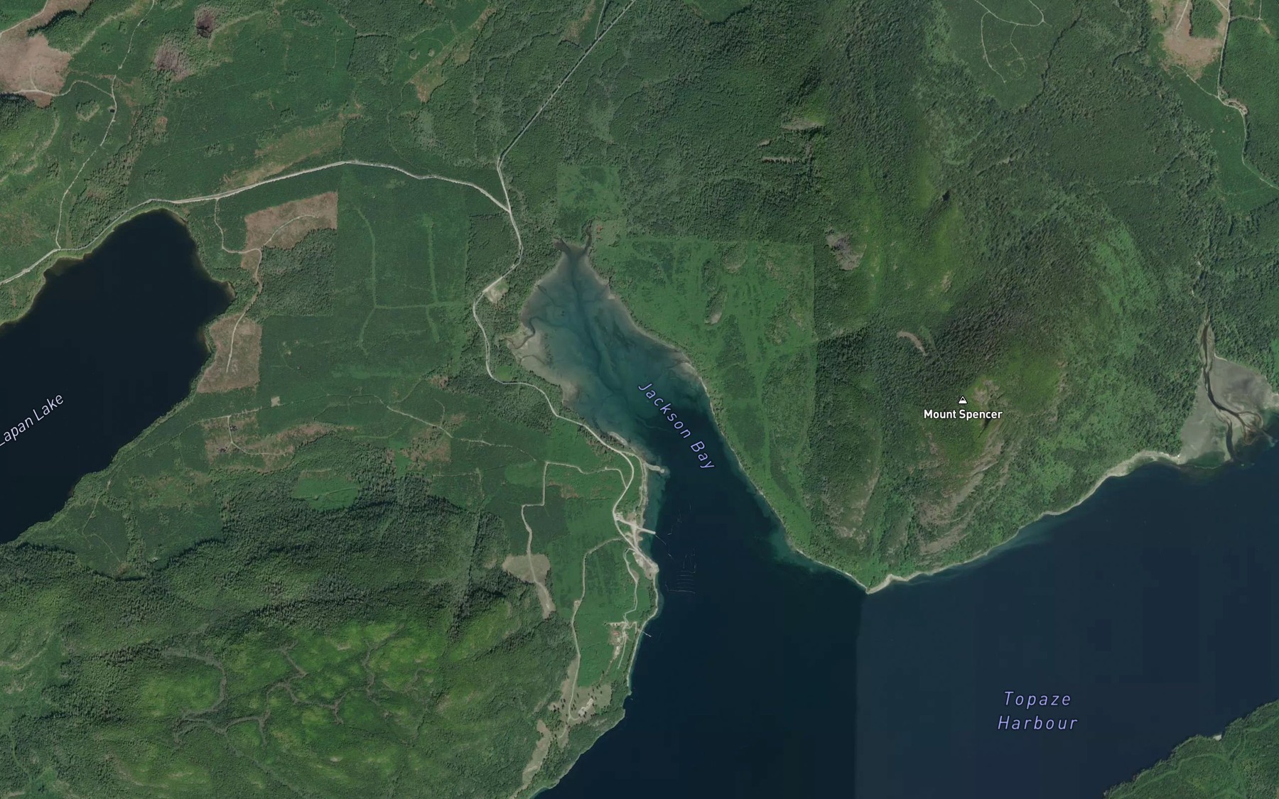 Satellite map of the Jackson Bay