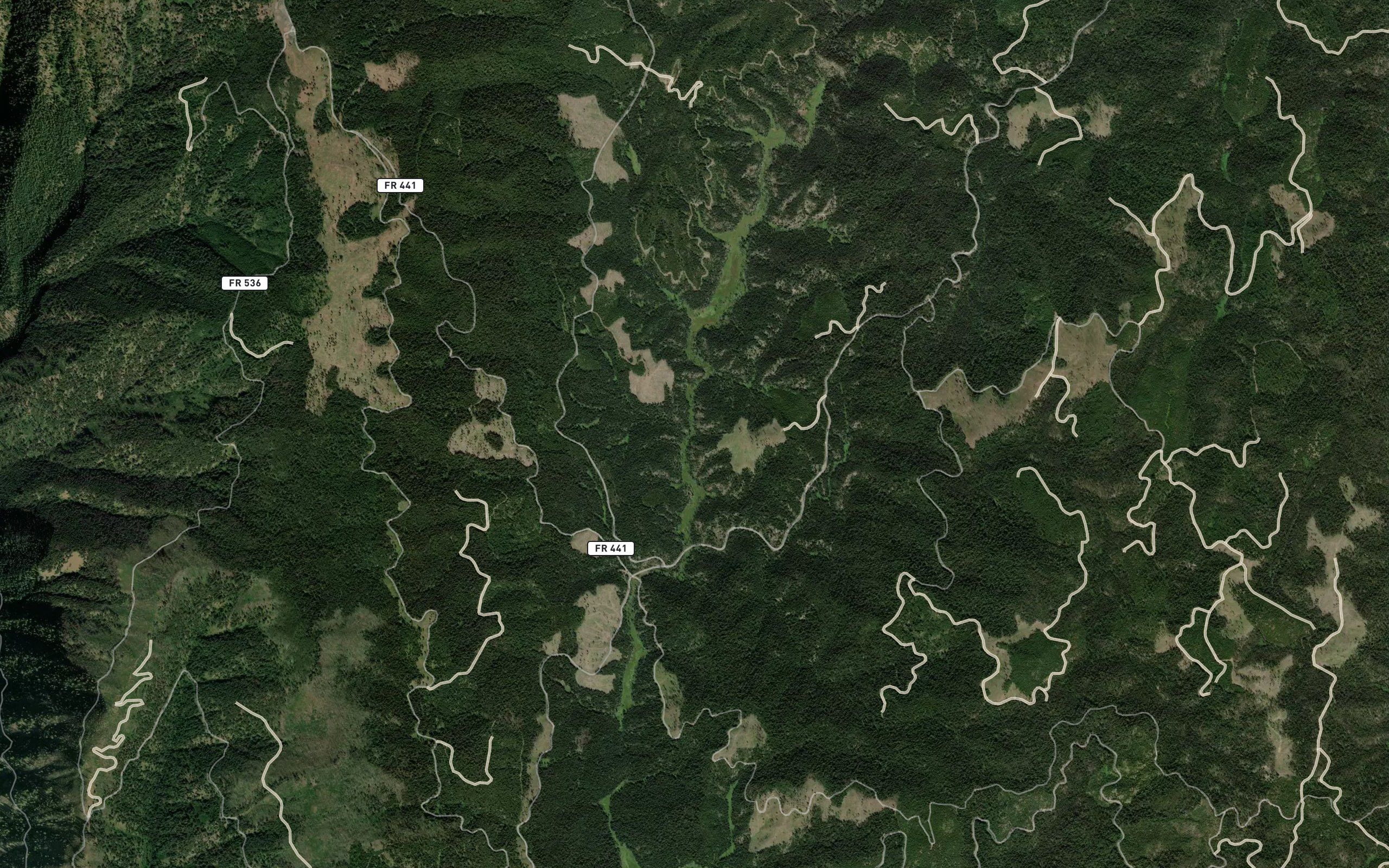 Burn Creek