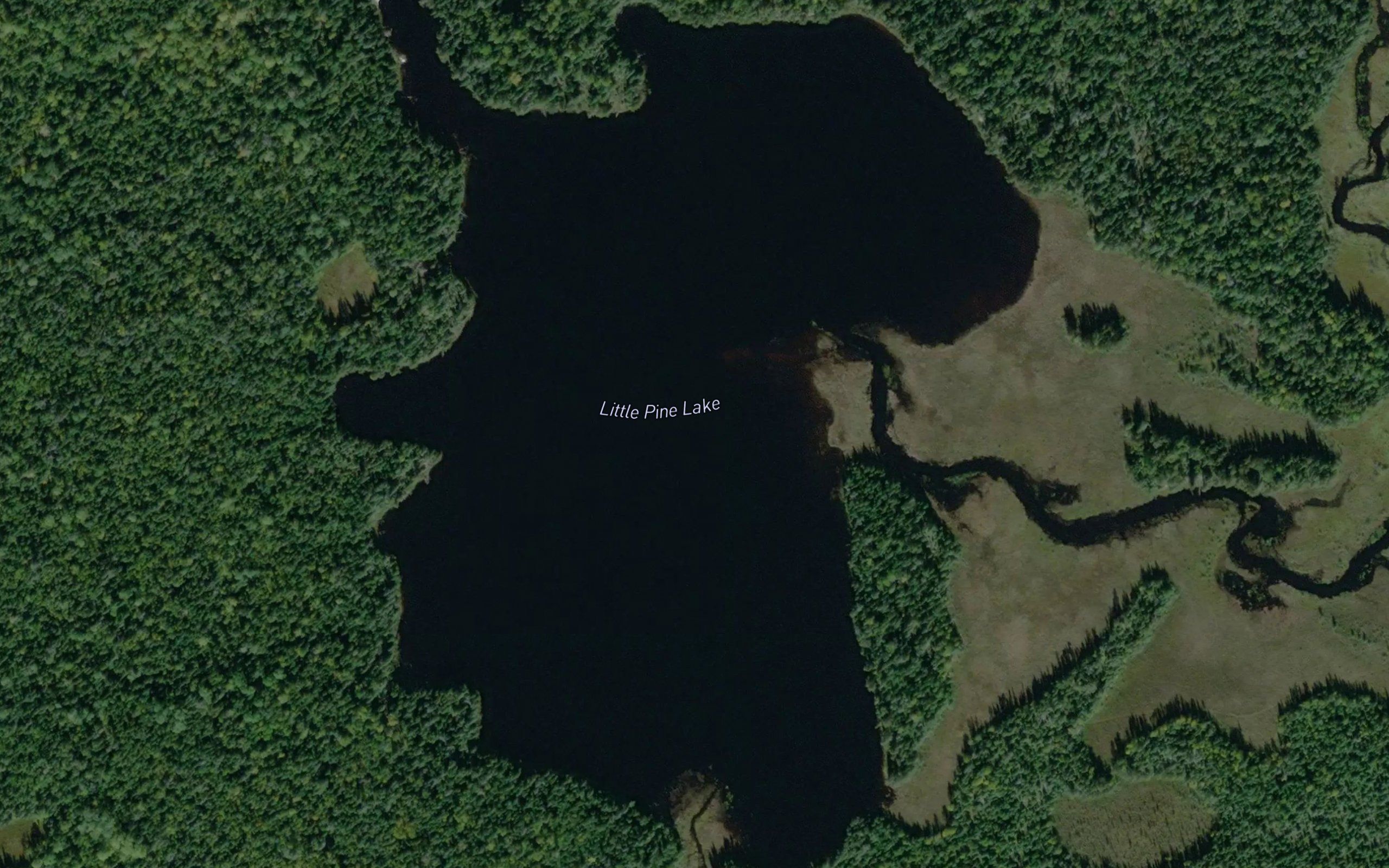 Little Pine Lake