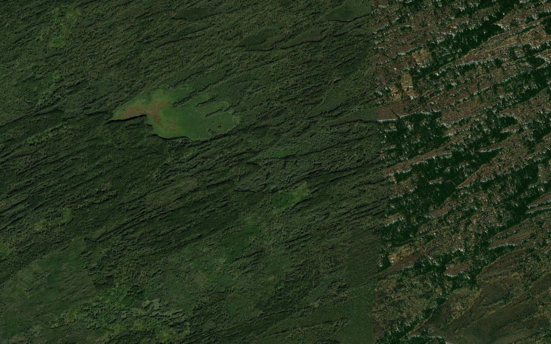 Satellite map of the Ozero Svetlen'koye