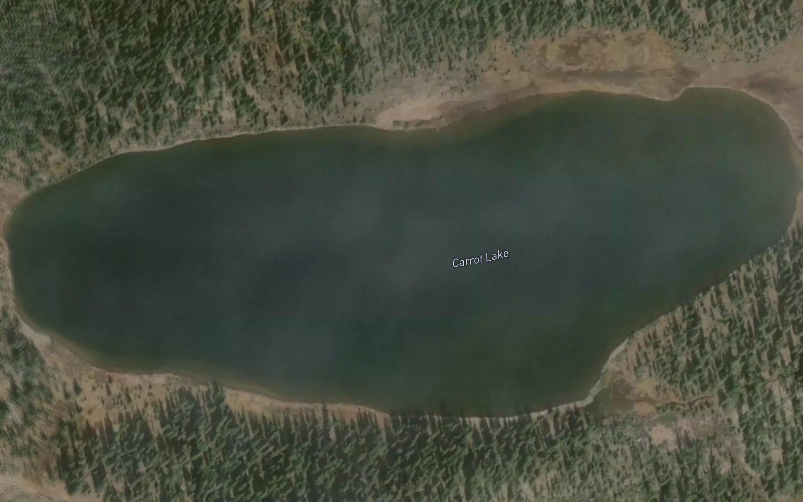 Carrol Lake