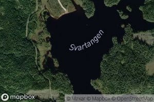 Svartangen